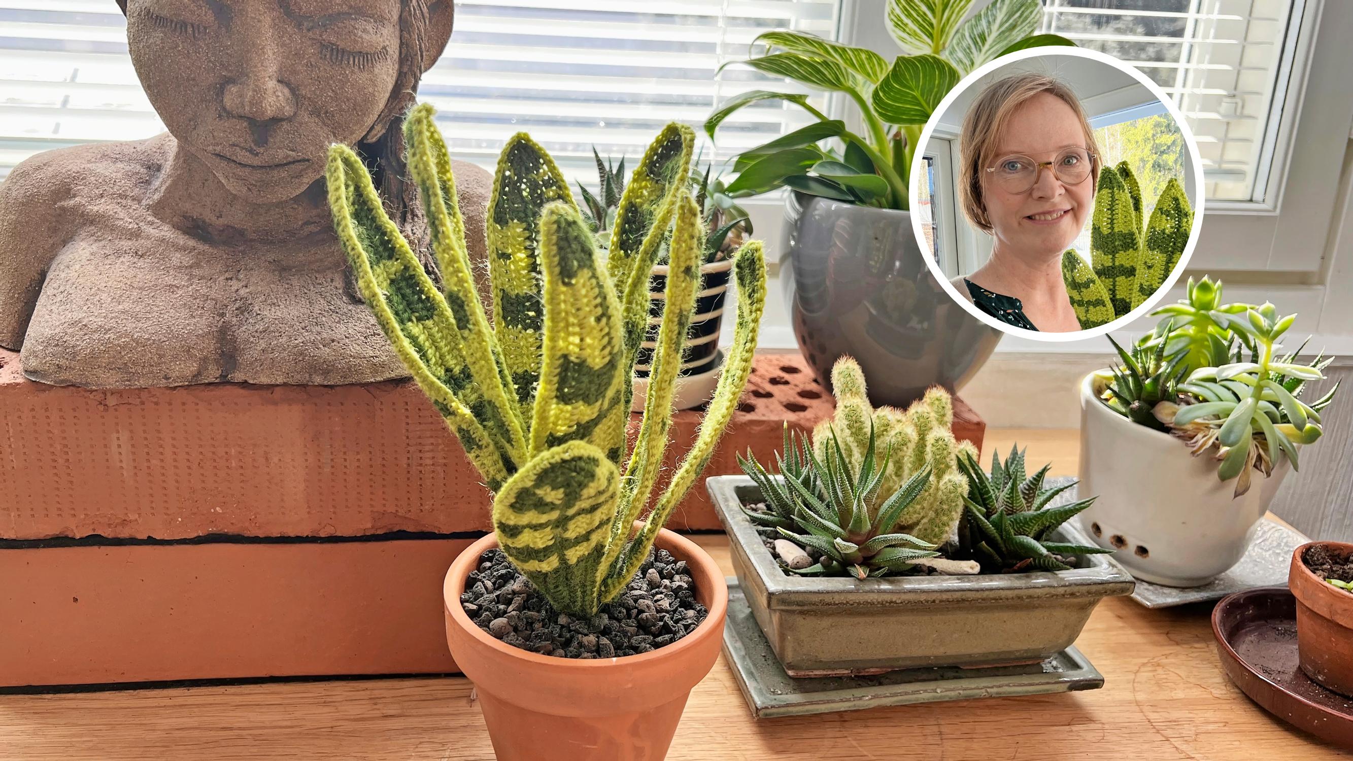 Wonderful crocheted houseplants—“Sometimes, for a split second, I’m about to water them too”