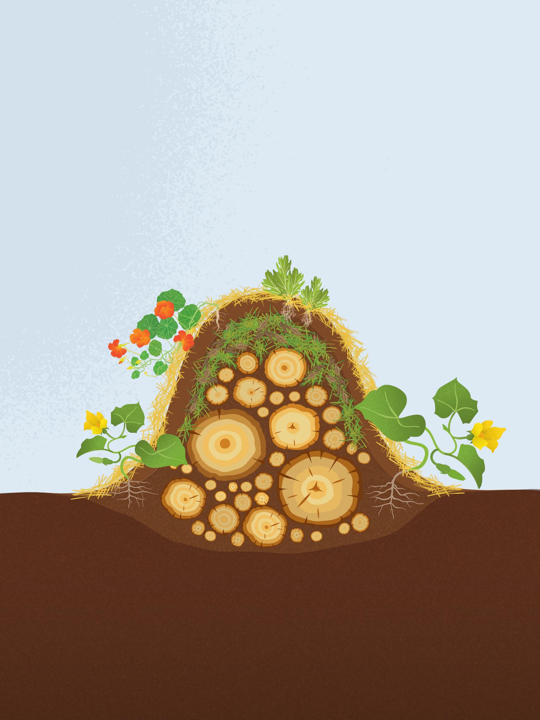 Hügelkultur: the Germans’ stroke of genius for your garden—build your own hügel bed