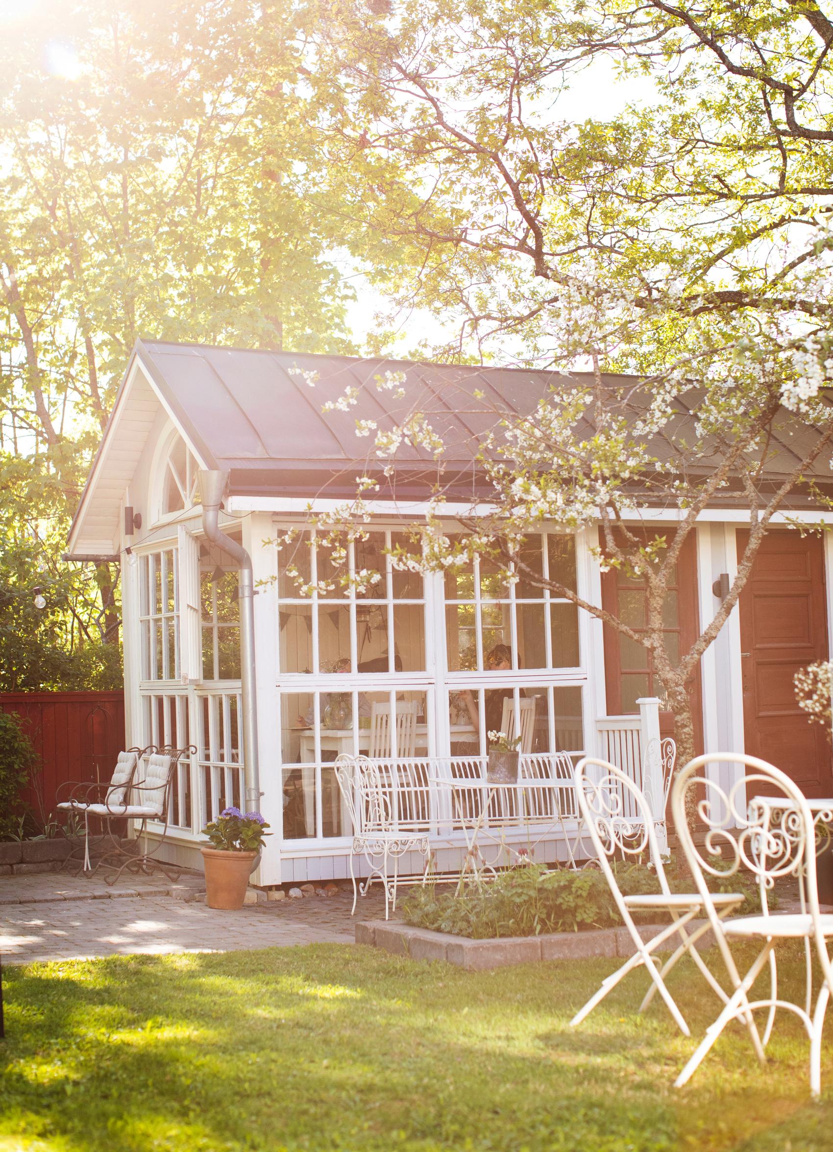 Evening in the garden
