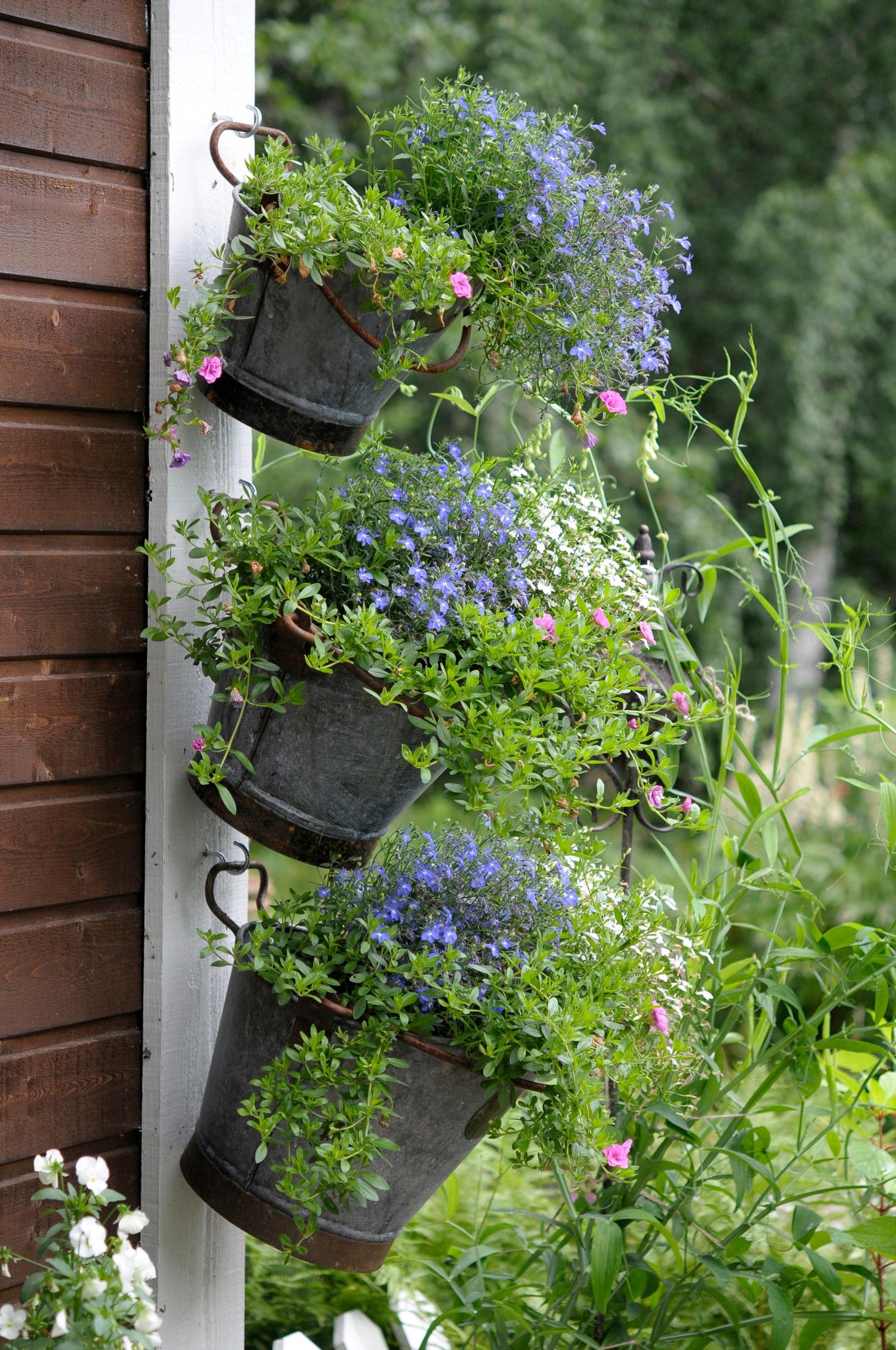 Summer flowers in the garden, pots hung on the wall