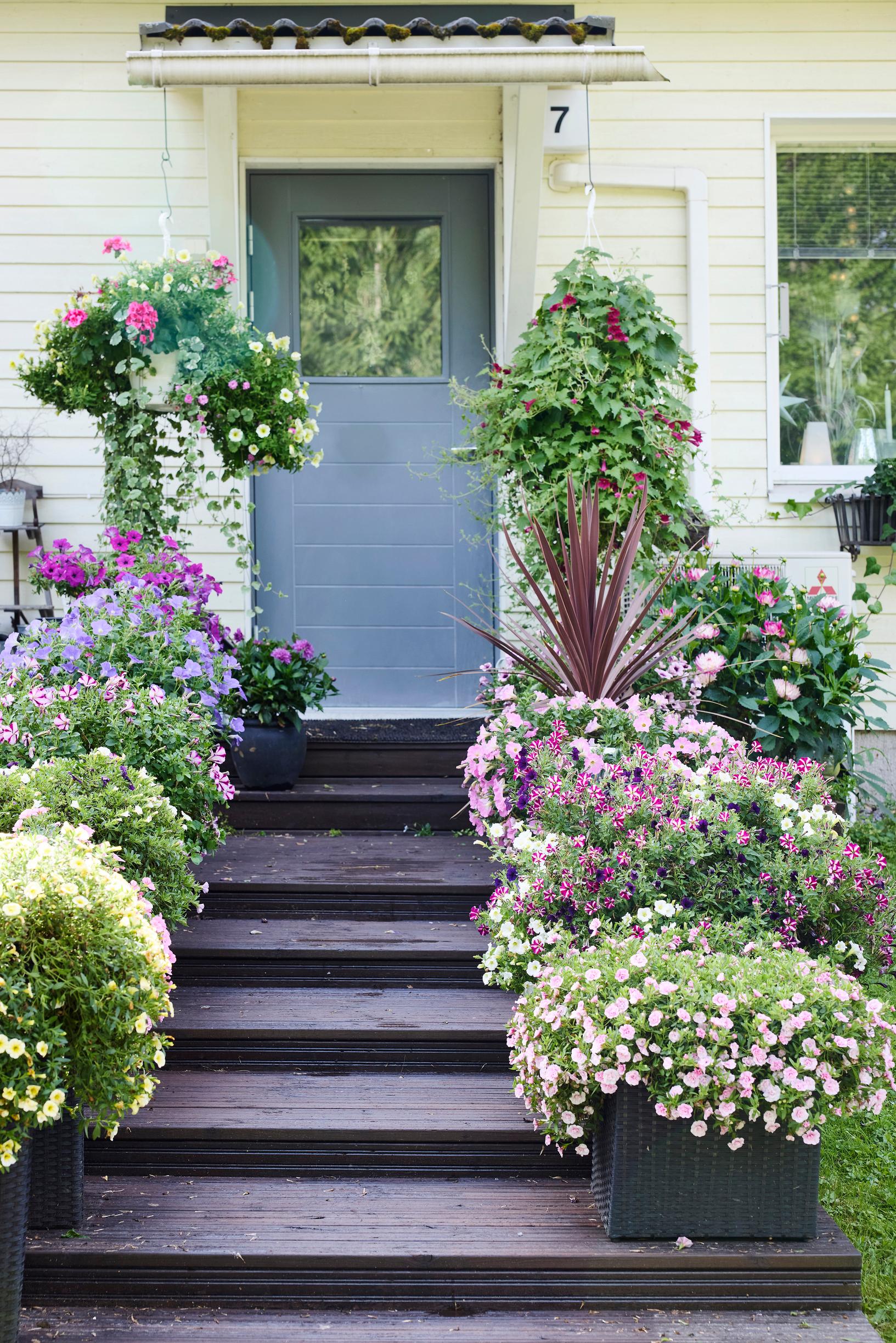summer-flower hanging baskets