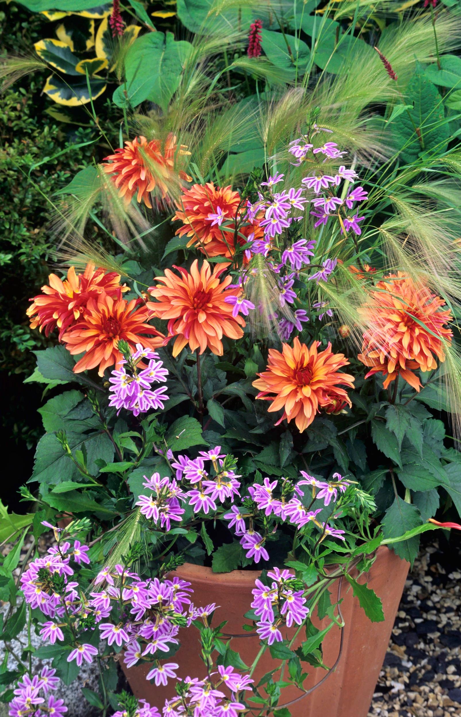 summer flower arrangements