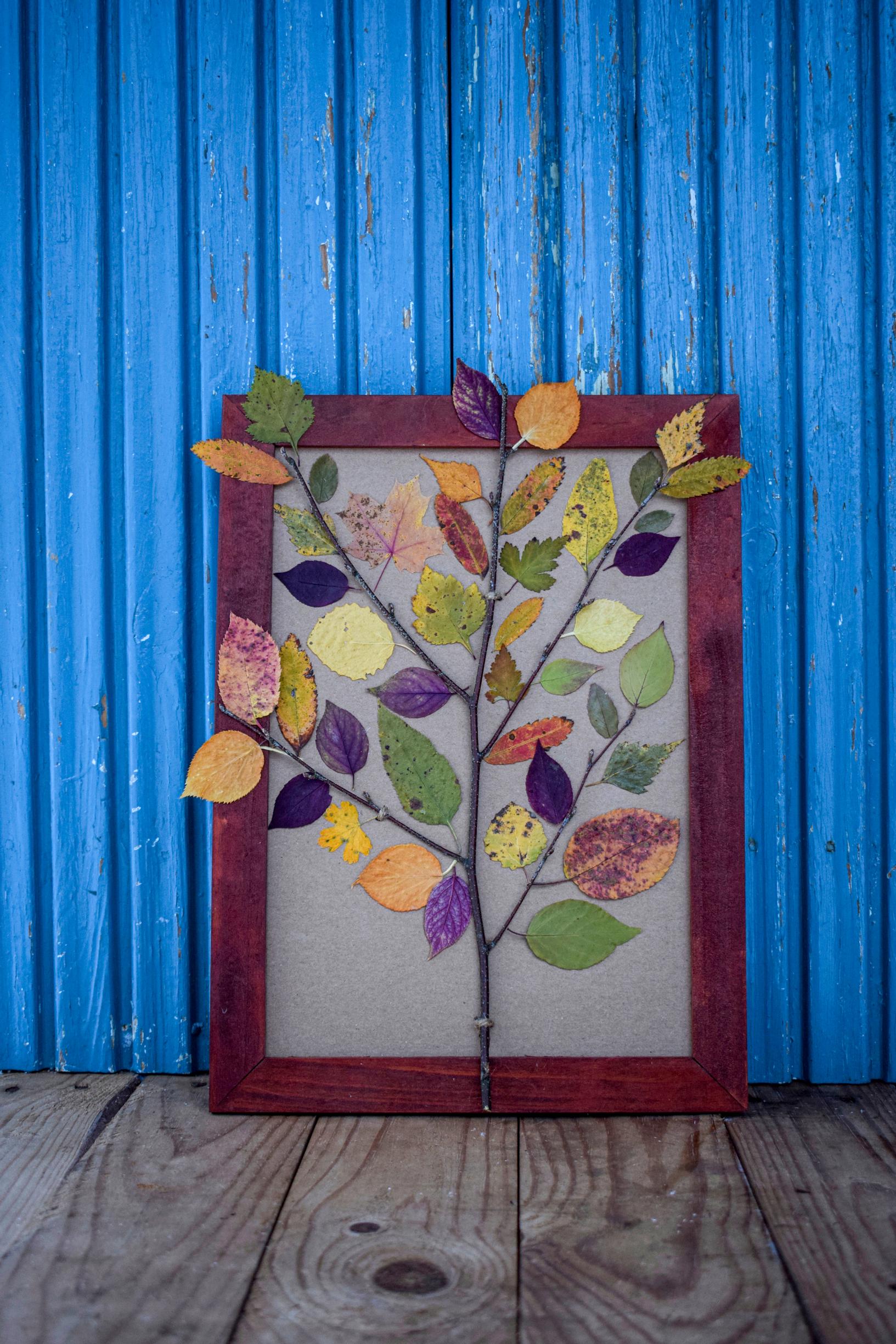 Autumn leaf picture