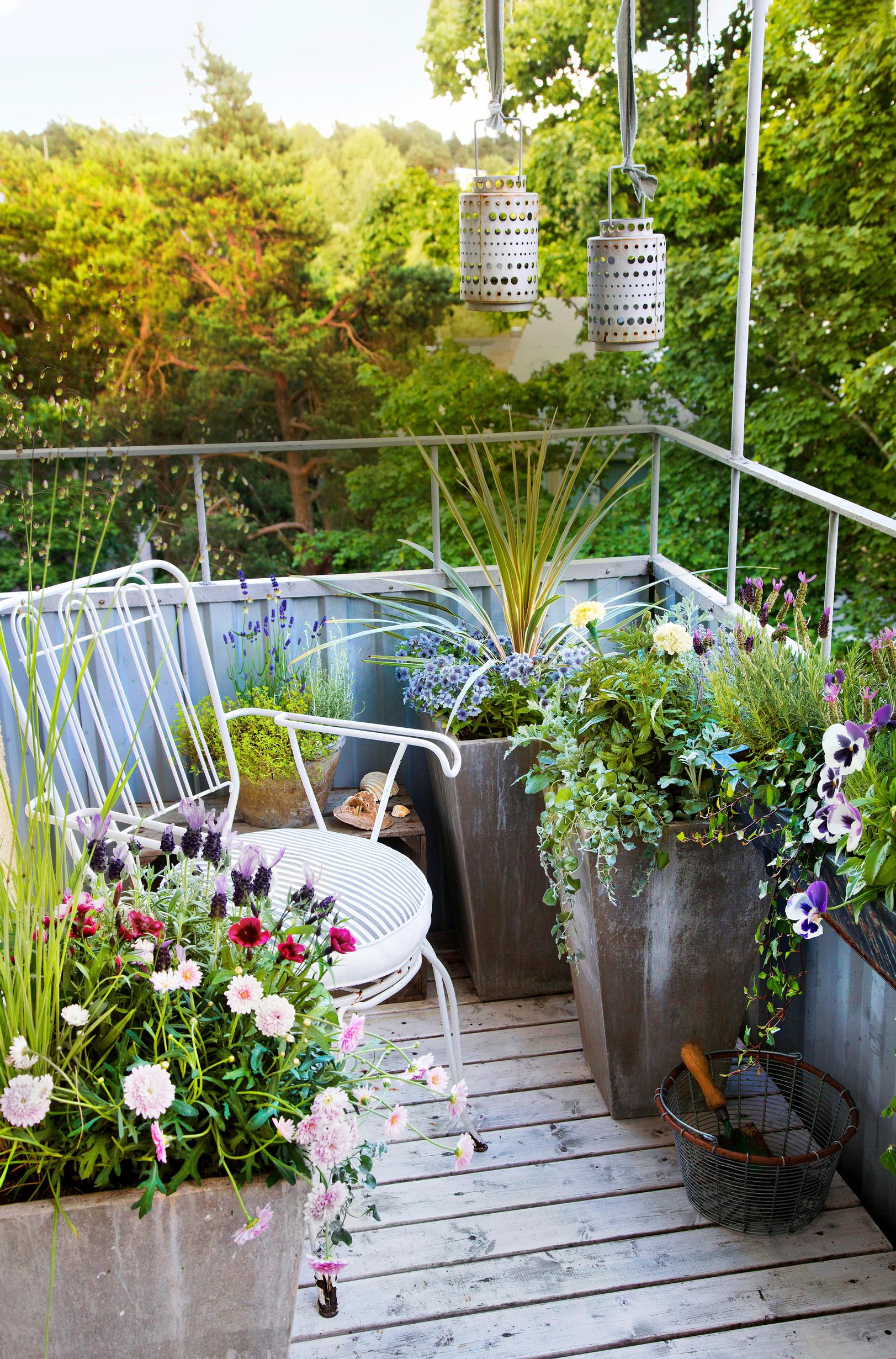 garden ideas