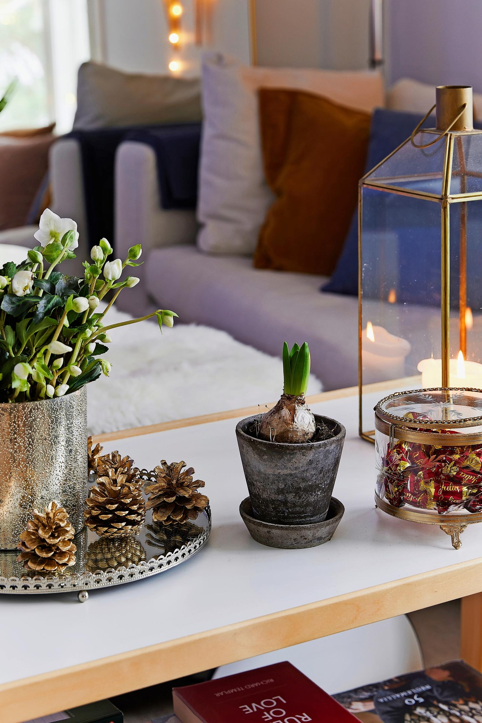 Christmas flowers on the Artek tea trolley