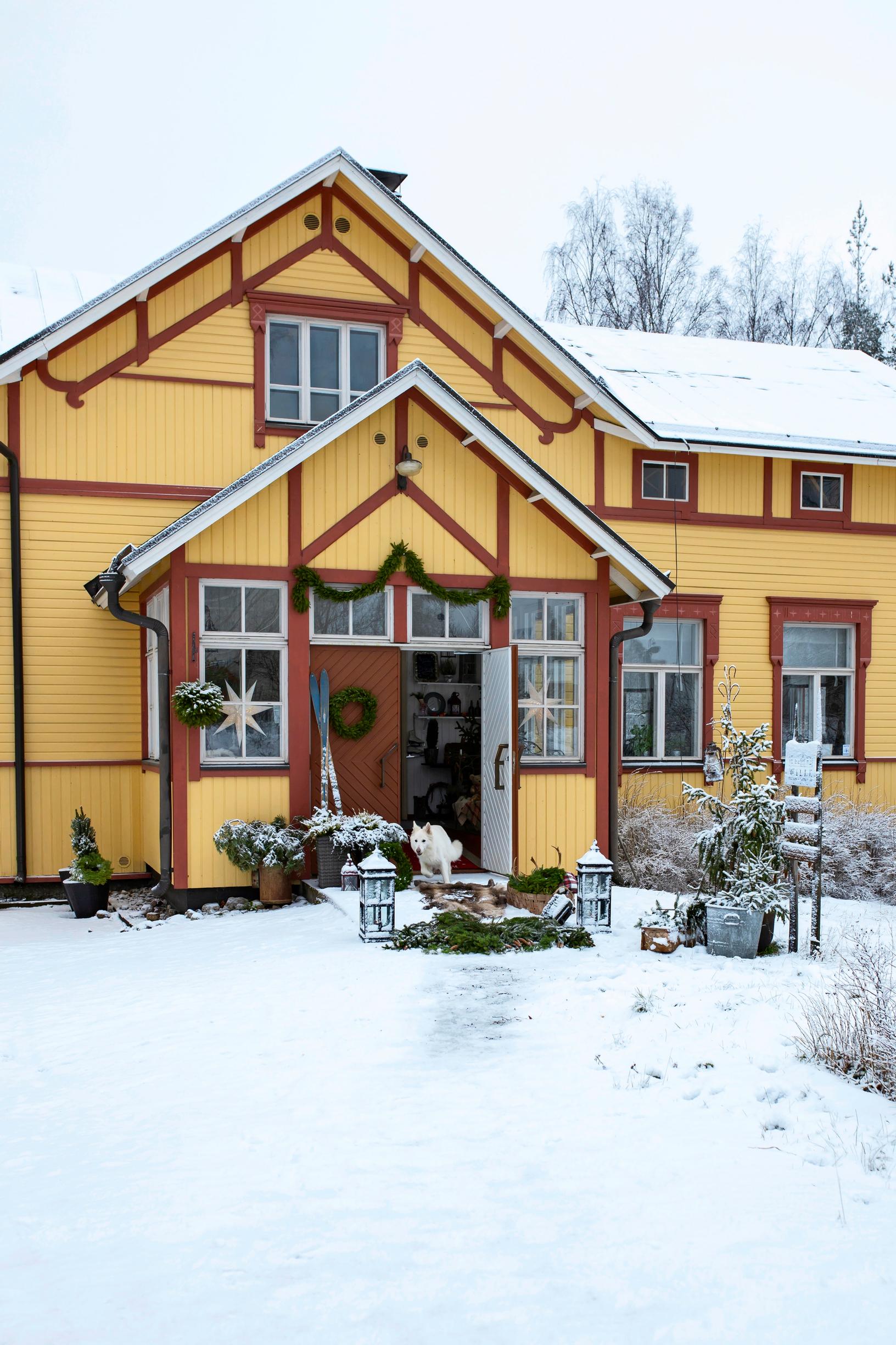 An exterior view of the yellow wooden house