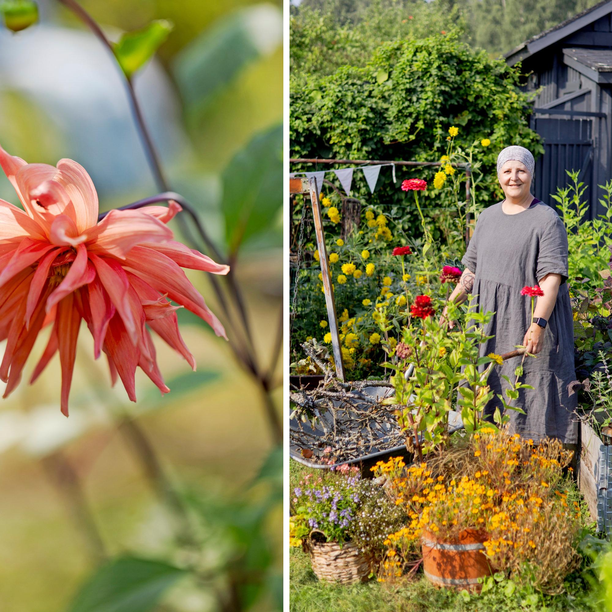When the world’s turmoil weighs heavily, pastor Tuuli finds peace in her garden—“No insect is too small to be important”