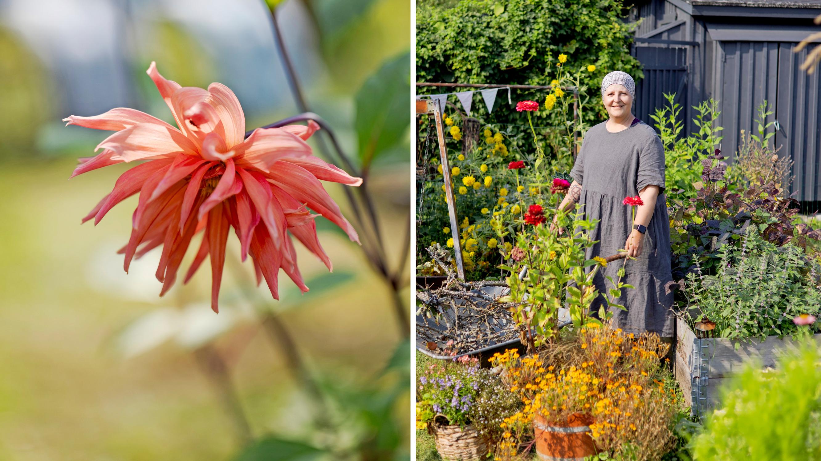 When the world’s turmoil weighs heavily, pastor Tuuli finds peace in her garden—“No insect is too small to be important”