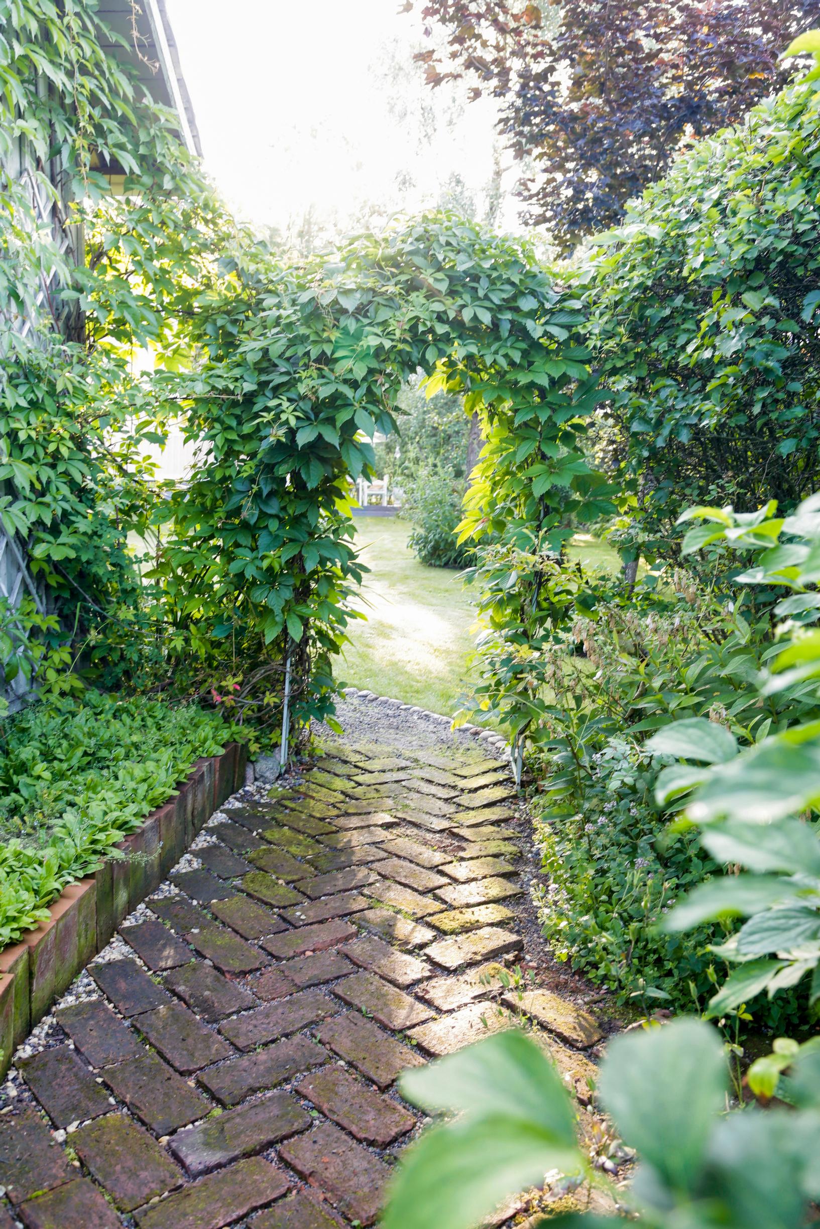 Inspiring garden paving ideas