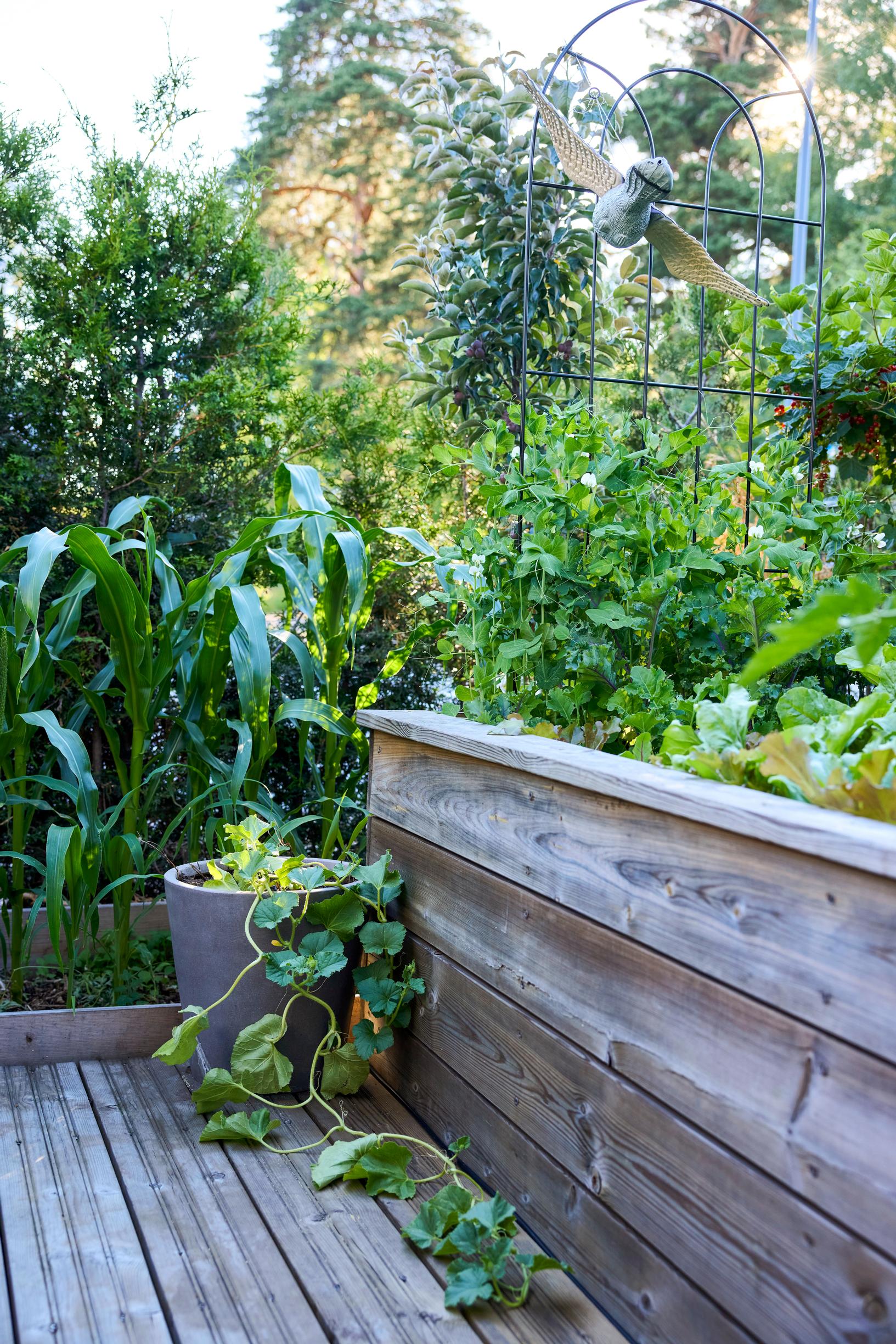 Tall raised bed