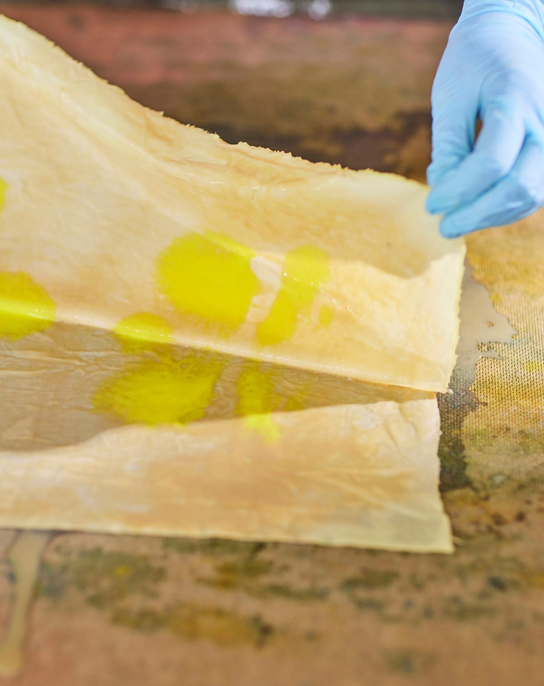 Sun dyeing, applying the color