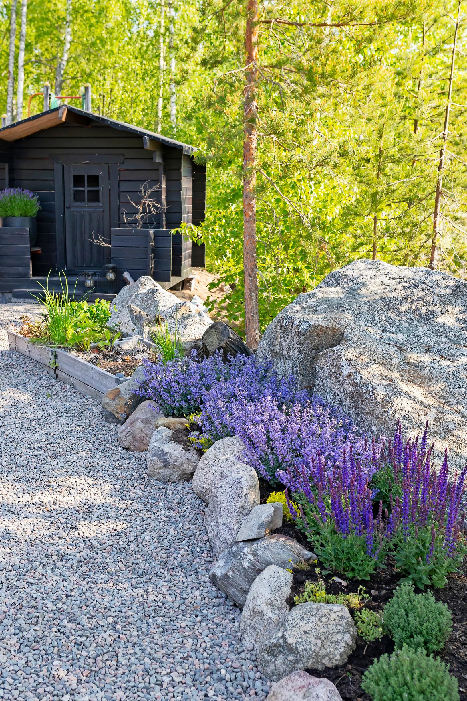 A small black building, with a gravel path and paving in front, with purple flowers, a large stone, and forest