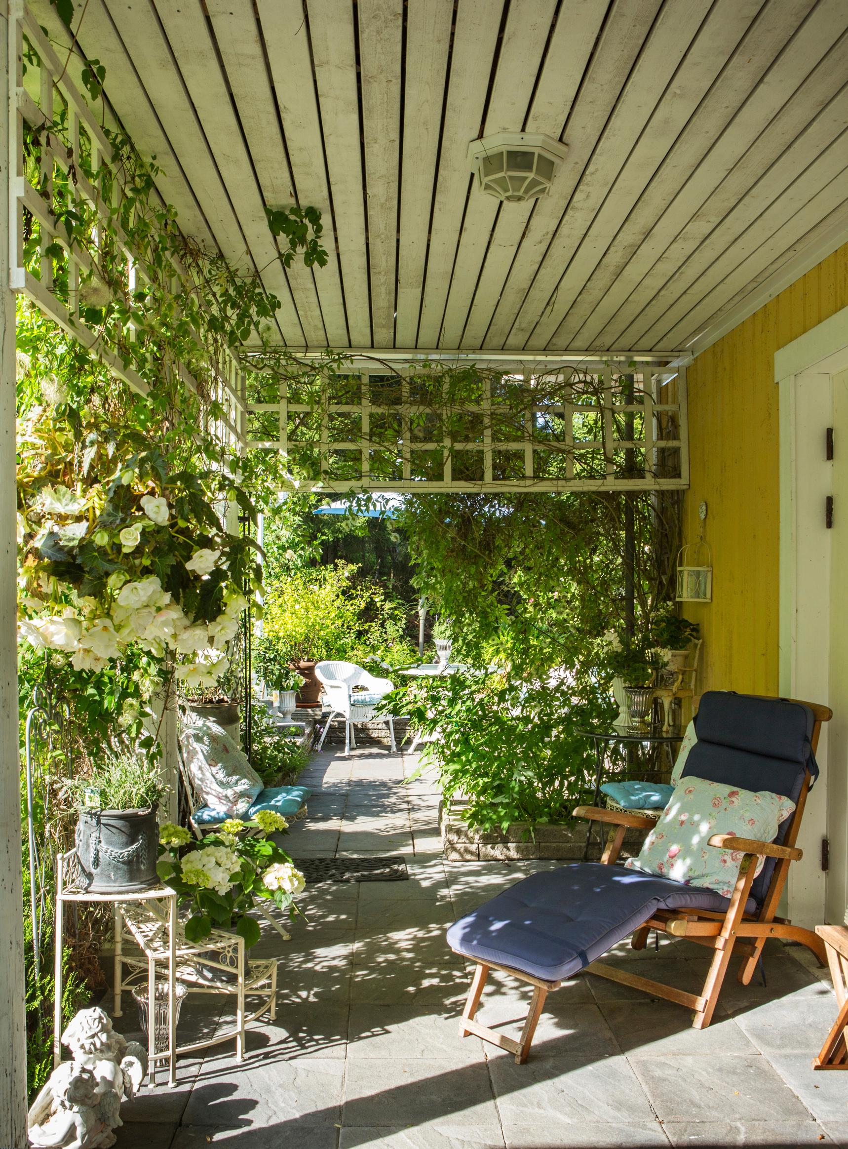 support for climbing plants