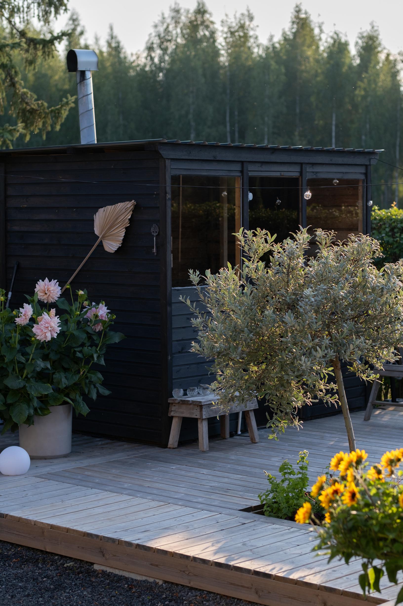 A deck with plants in front of the yard sauna