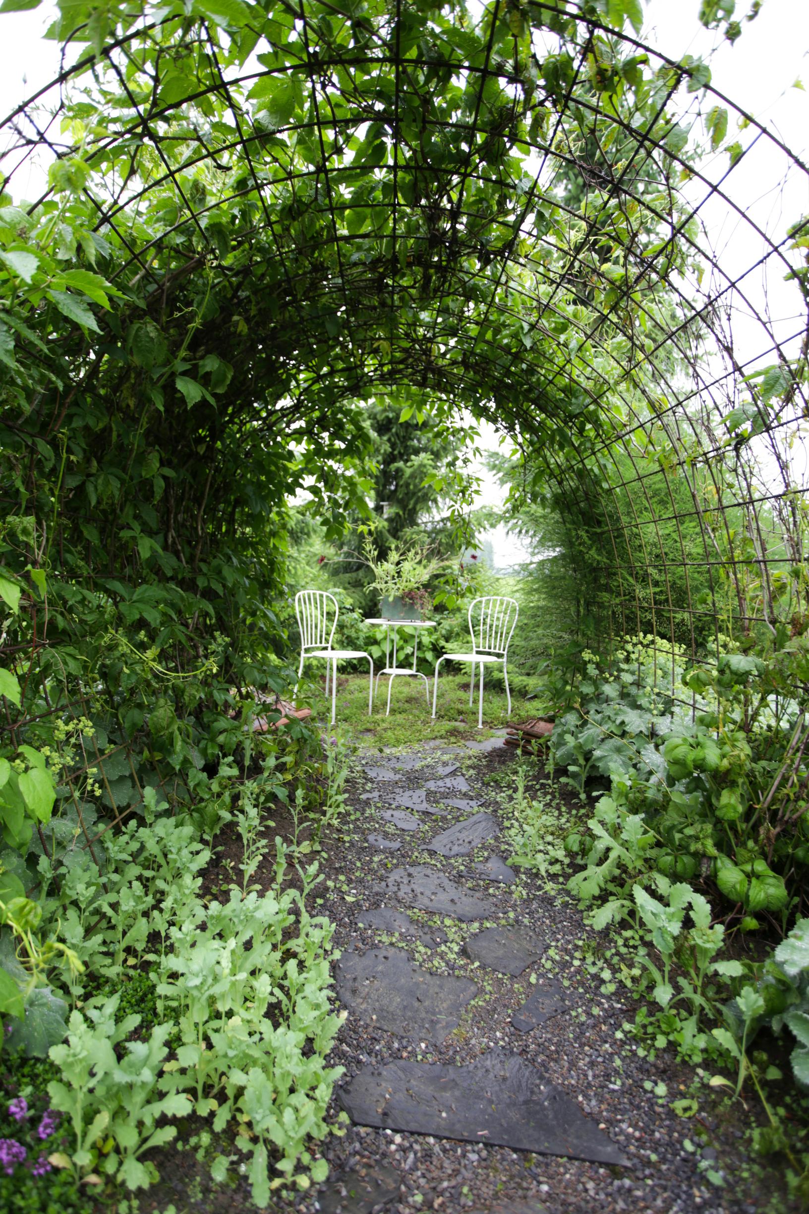 A climbing tunnel made from reinforcement mesh