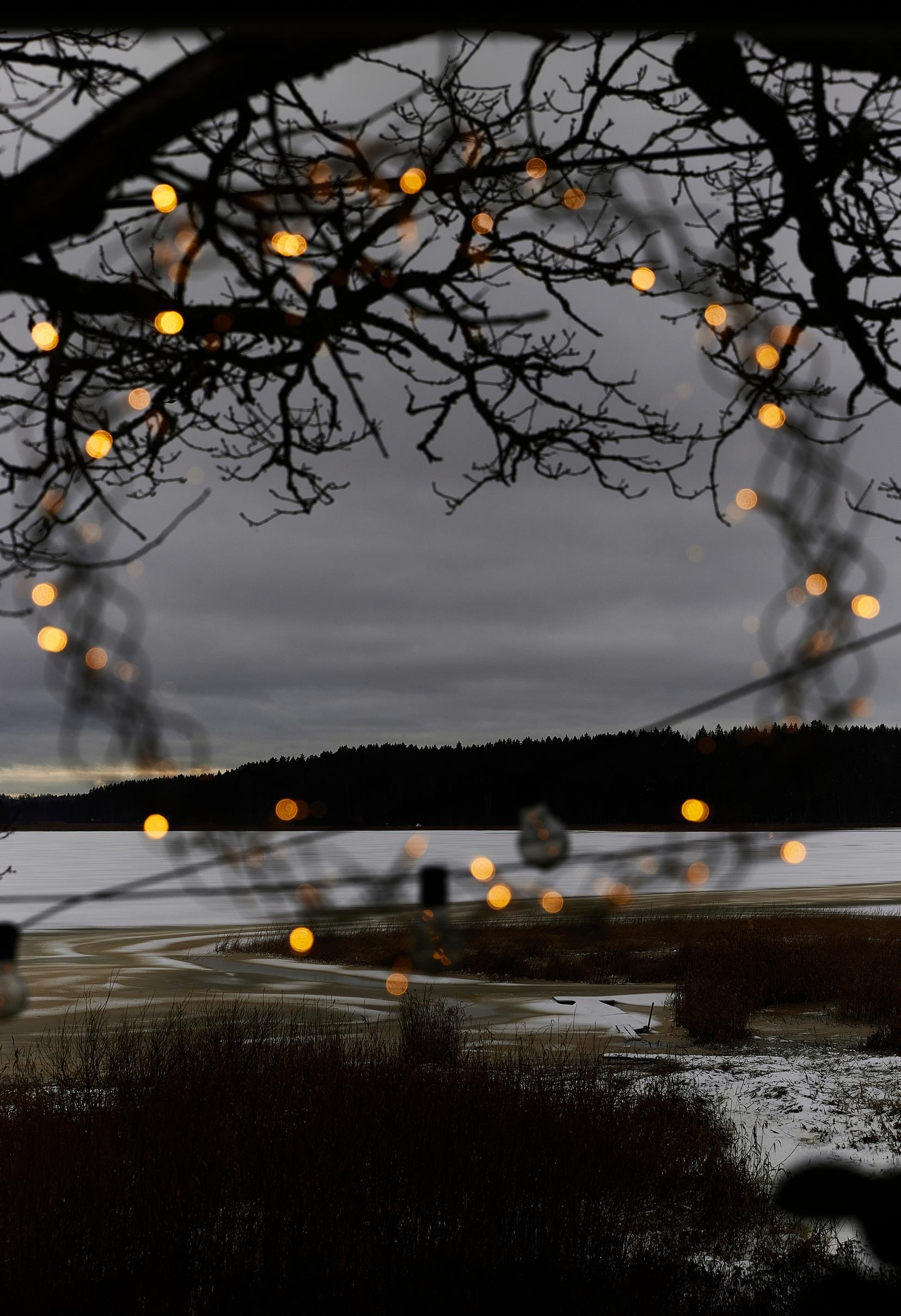Christmas lights over a sea view