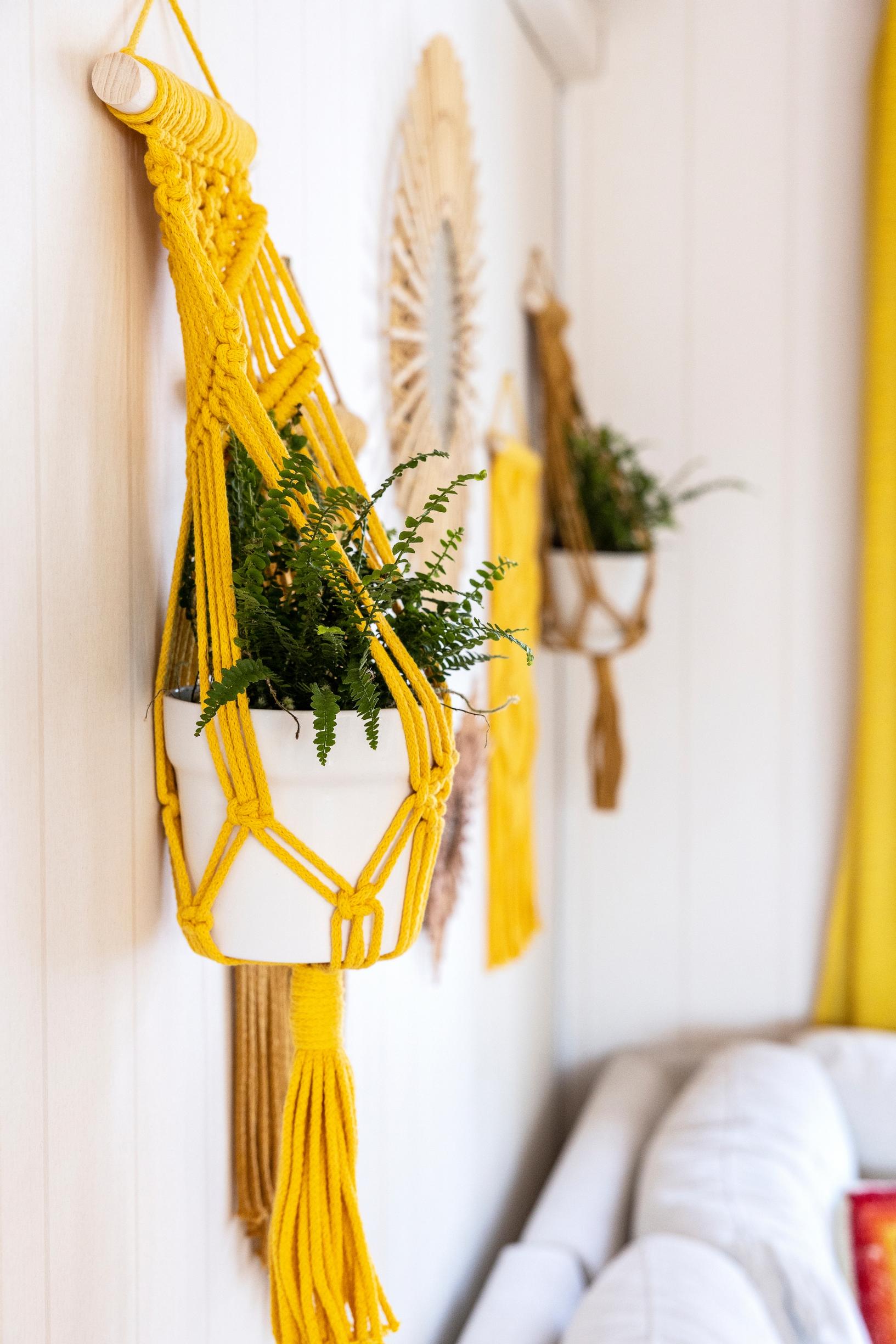 Macramé plant hangers for houseplants.
