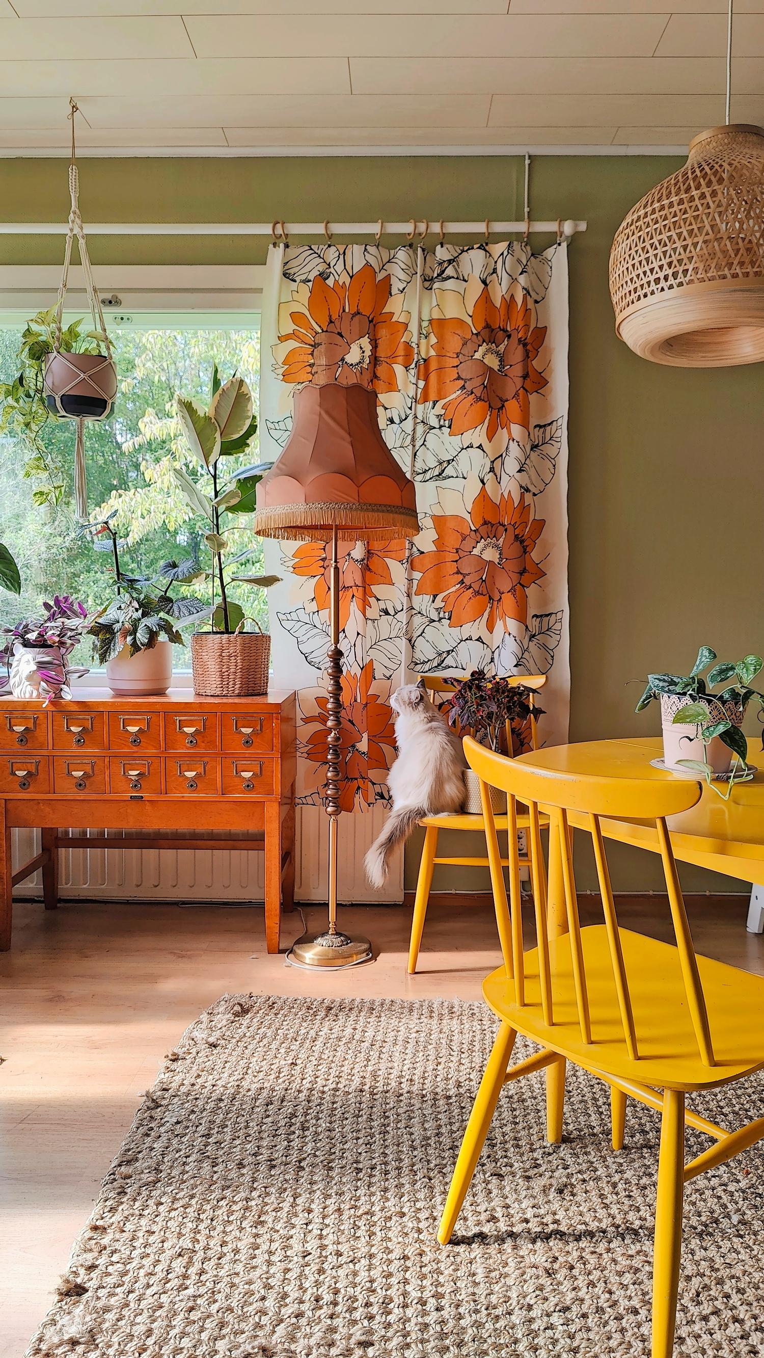 yellow spindle-back chairs and a chest of drawers