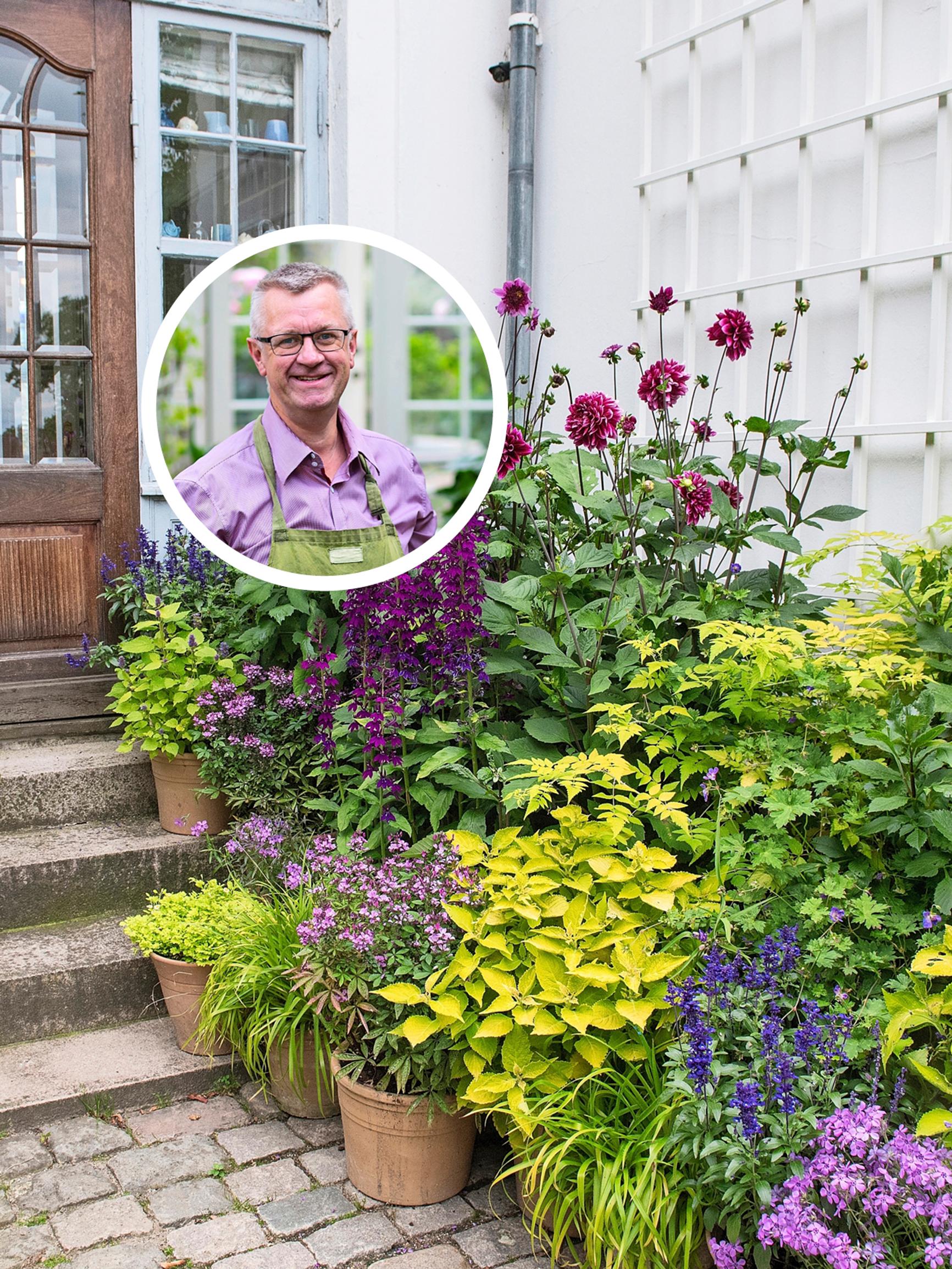 Gardening superstar Claus Dalby: here’s how he combines plants and colors in his garden of 2,000 pots from spring to fall