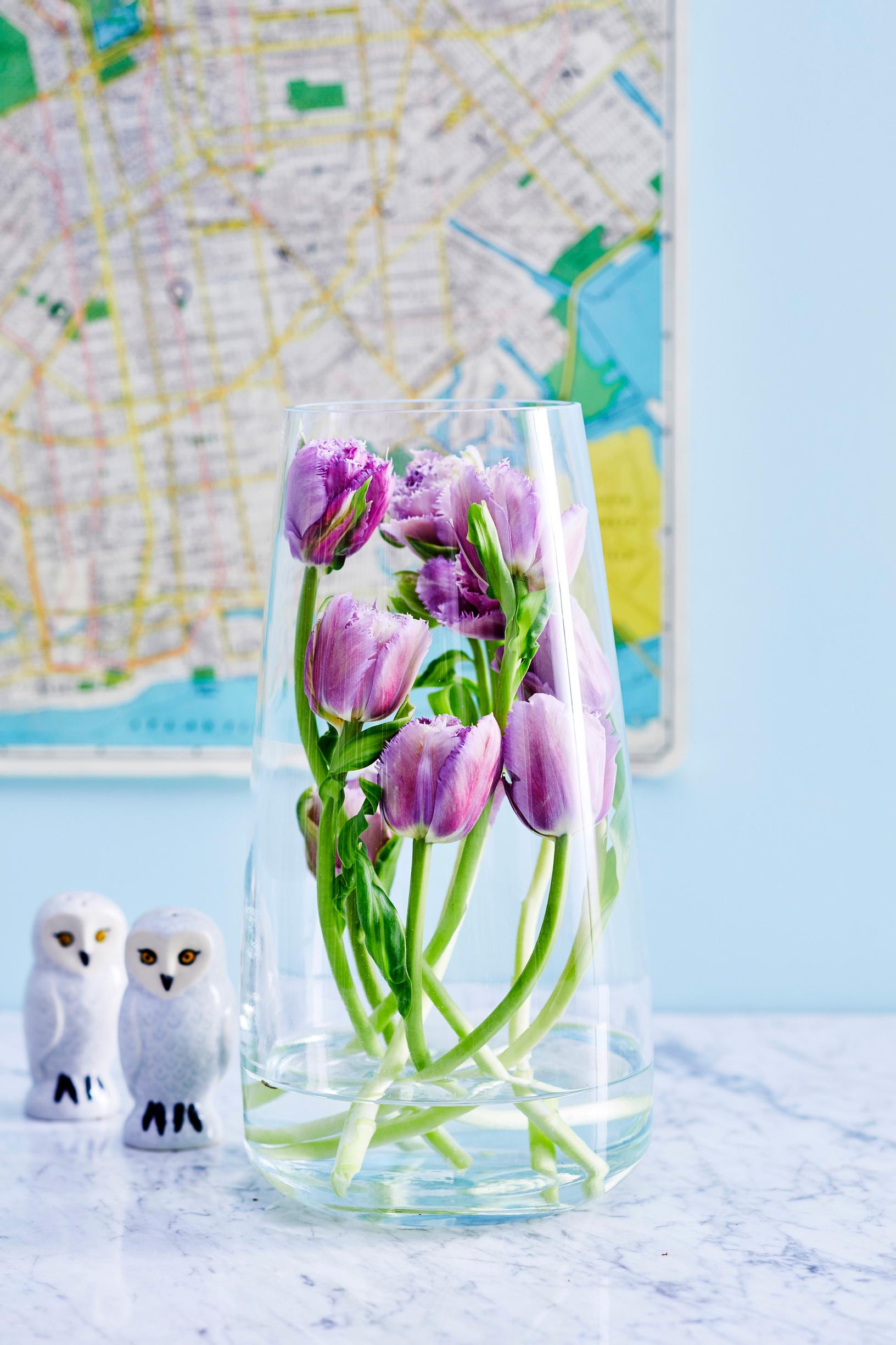 Valentine’s Day flowers: tulip bouquet