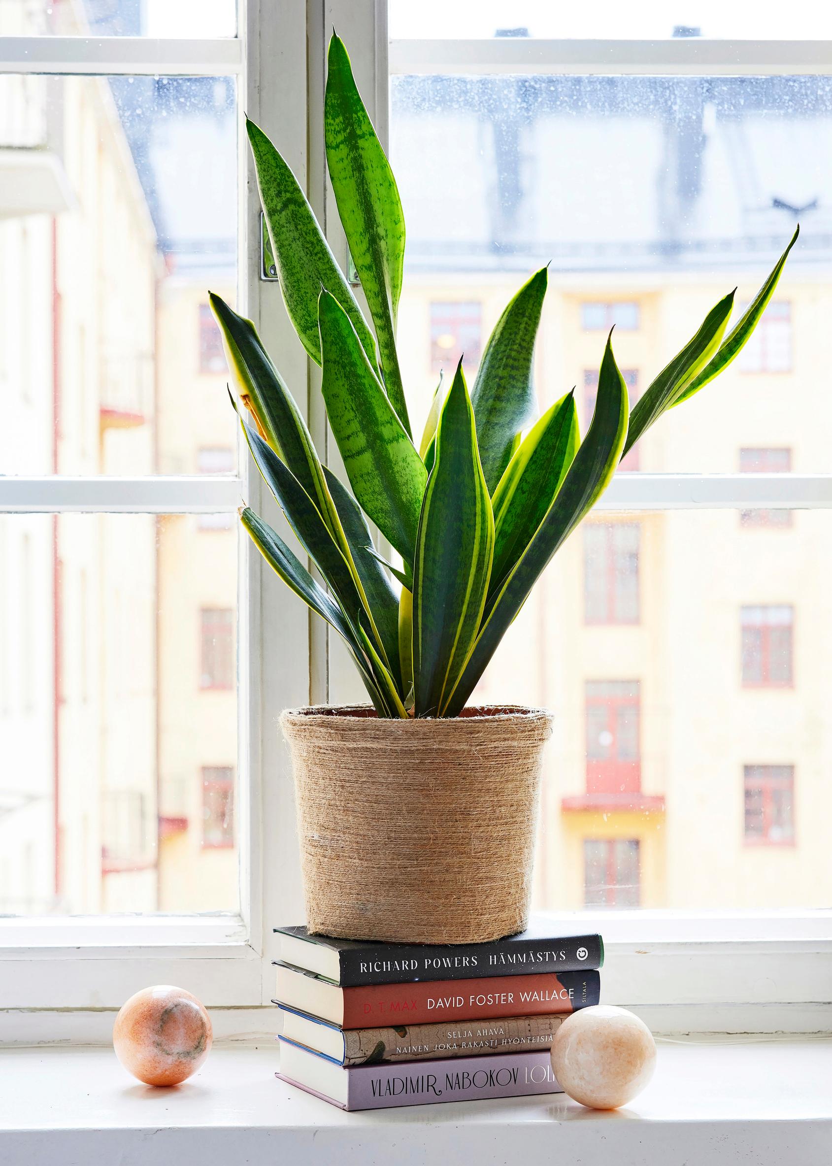 A pot decorated with jute string
