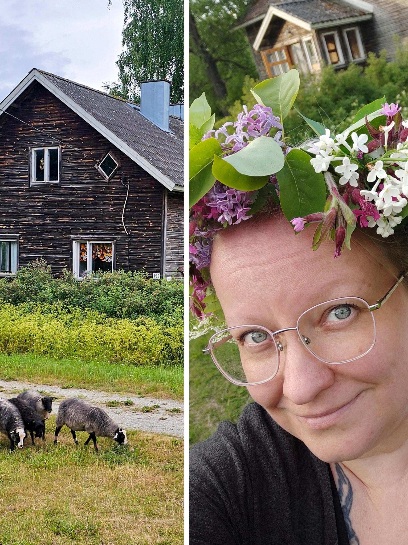 Tiina adds summer sheep and ducks to her cottage: “Caring for the sheep was a bit hectic at first, since they were bottle-fed”