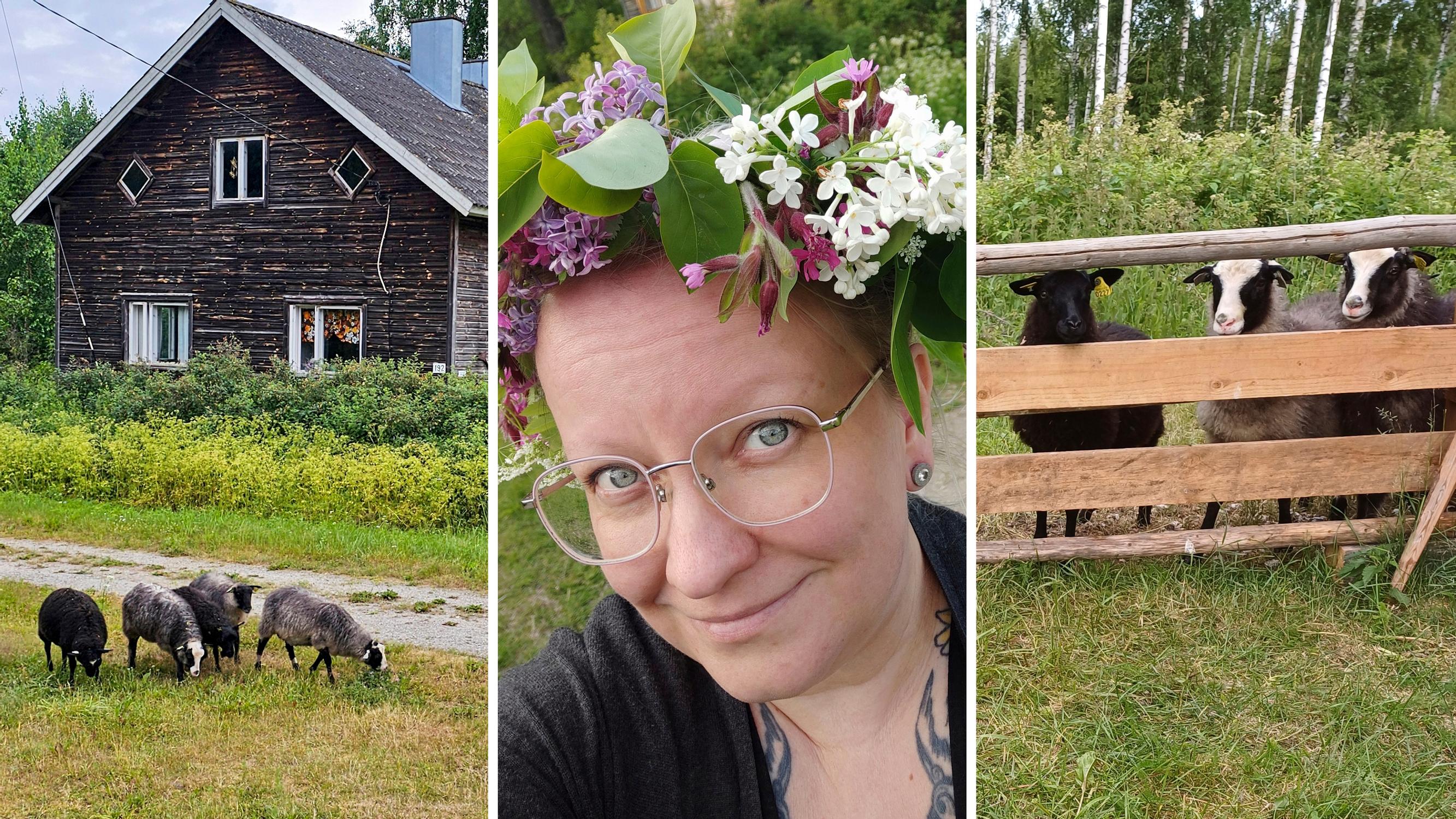 Tiina adds summer sheep and ducks to her cottage: “Caring for the sheep was a bit hectic at first, since they were bottle-fed”