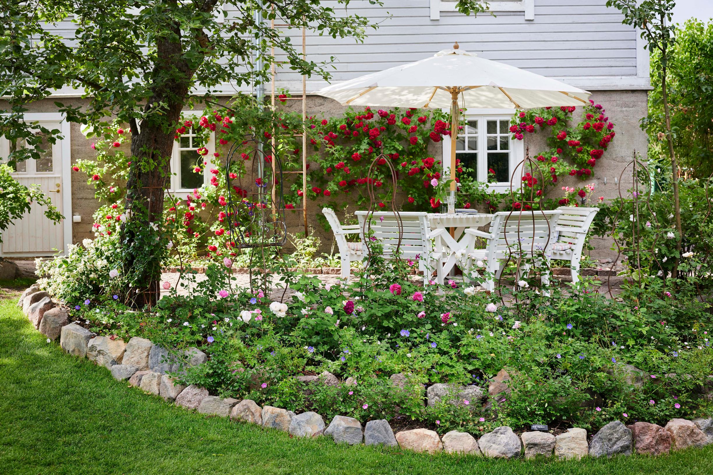 Päivi’s rose garden