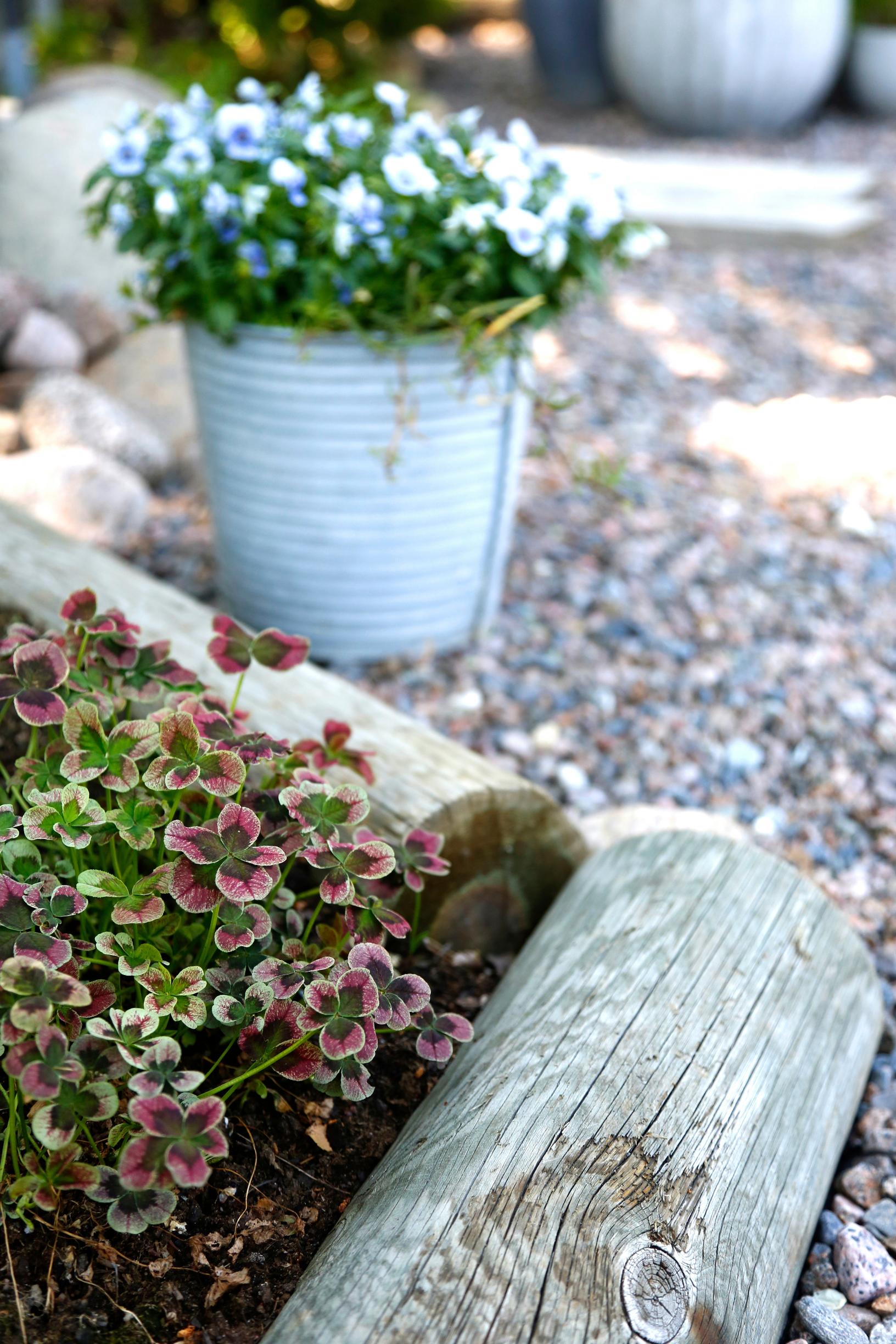 Flower bed edging: wooden logs