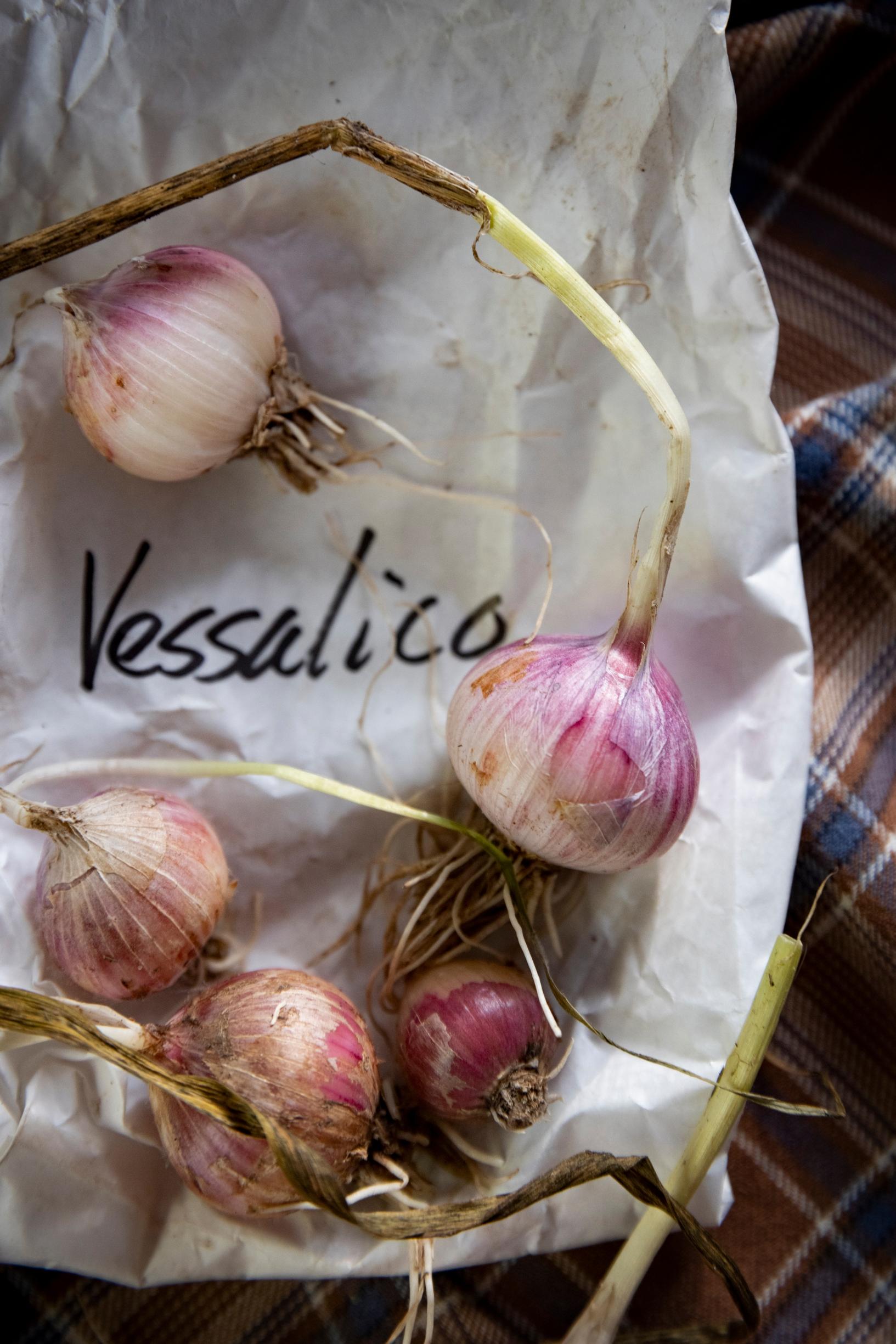 The elegantly flavored ‘Vessalico’ is originally from Italy.
