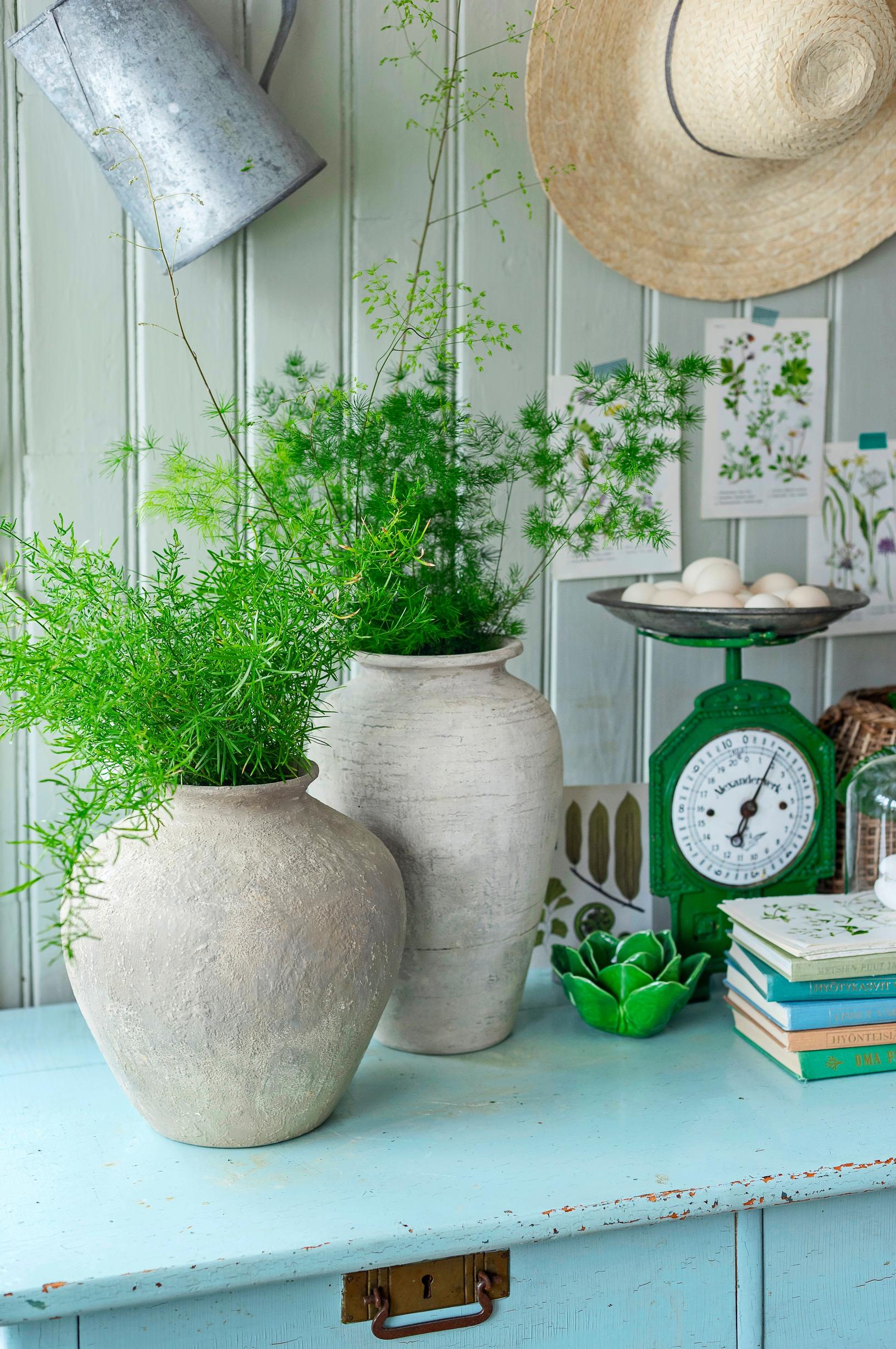 Vase repurposed into a pot