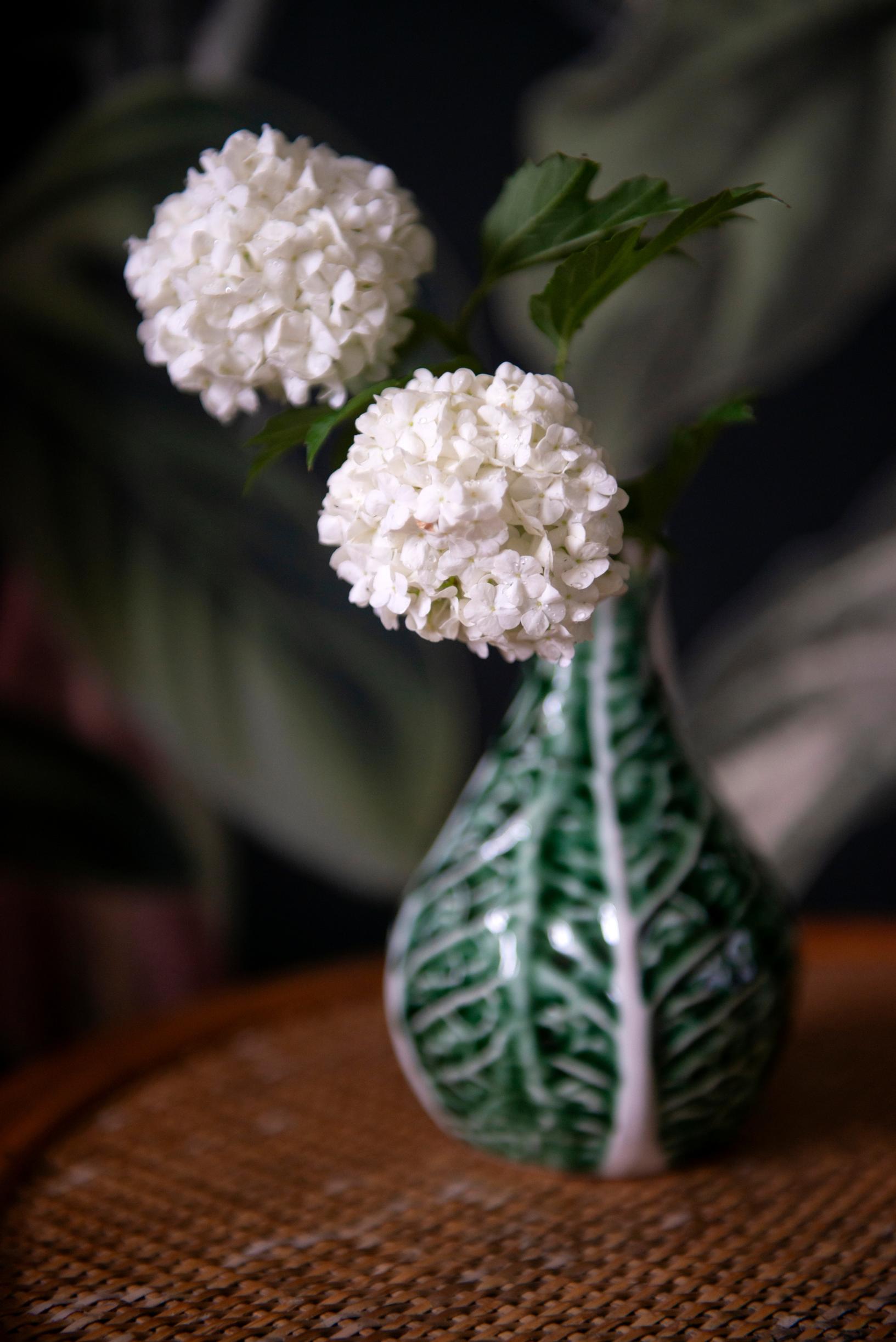 snowball viburnum branches in a vase