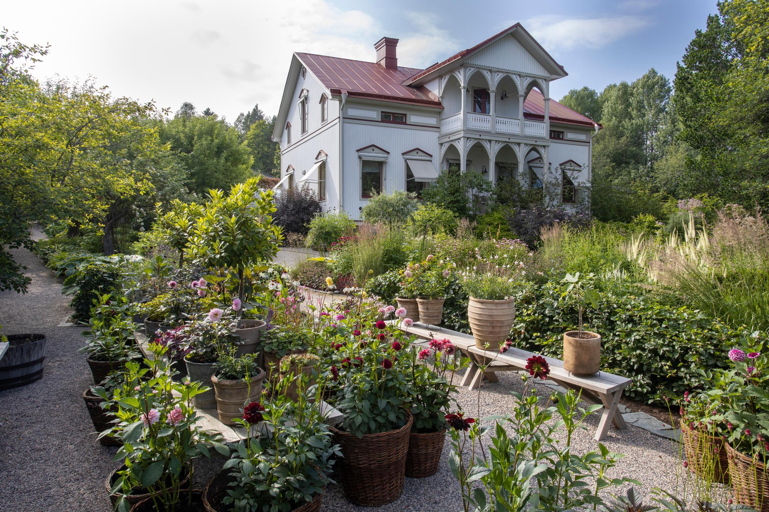 Charlotte Andersson’s no-lawn garden design