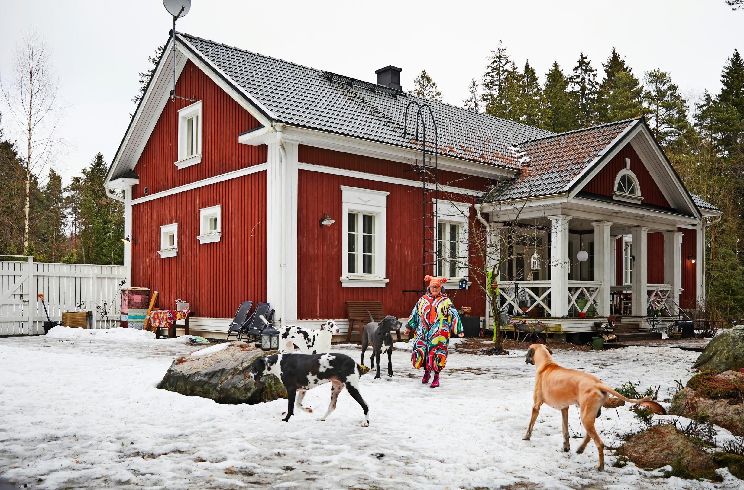 Ulli Toiviainen and Great Danes in the yard