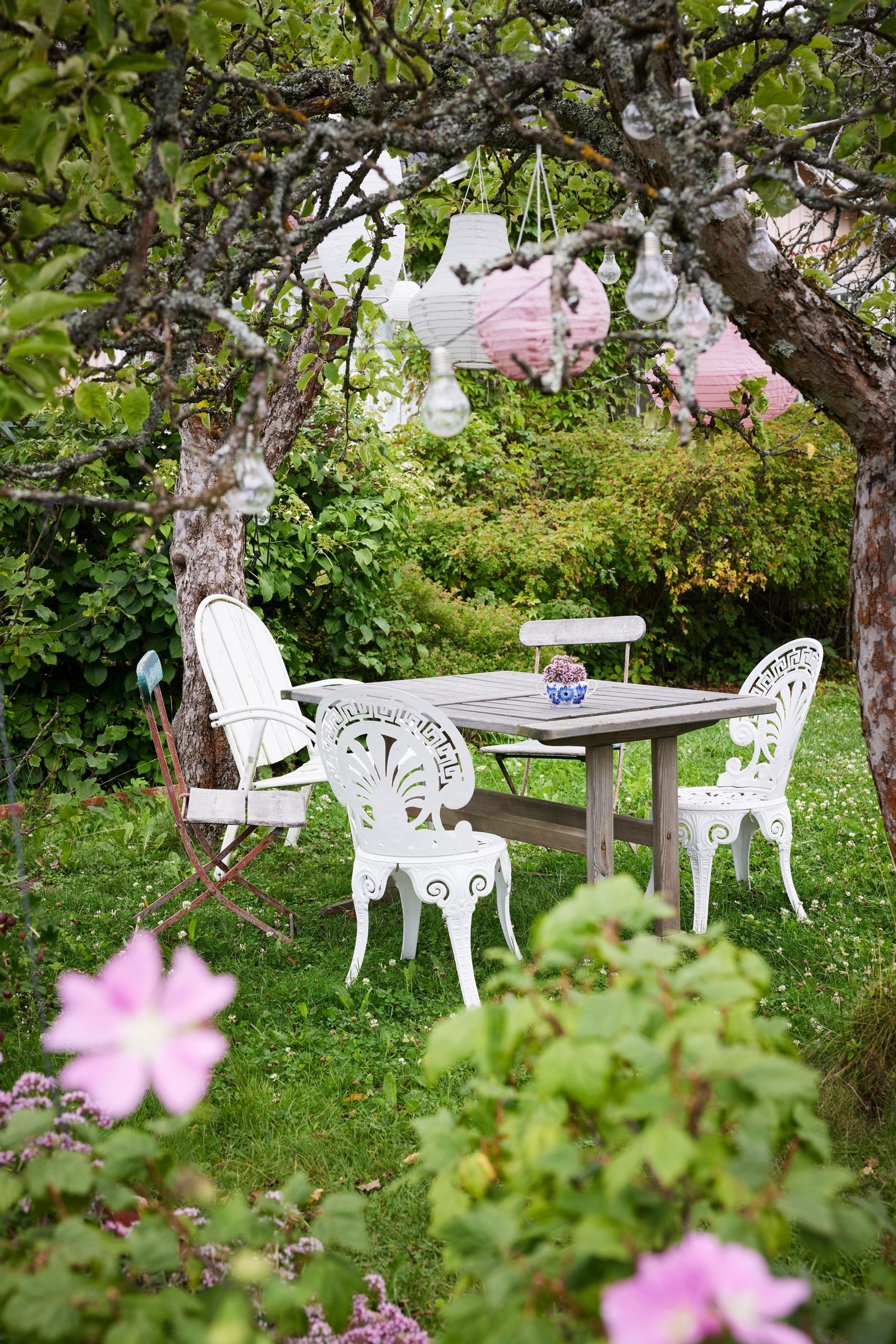 a dining set in the garden