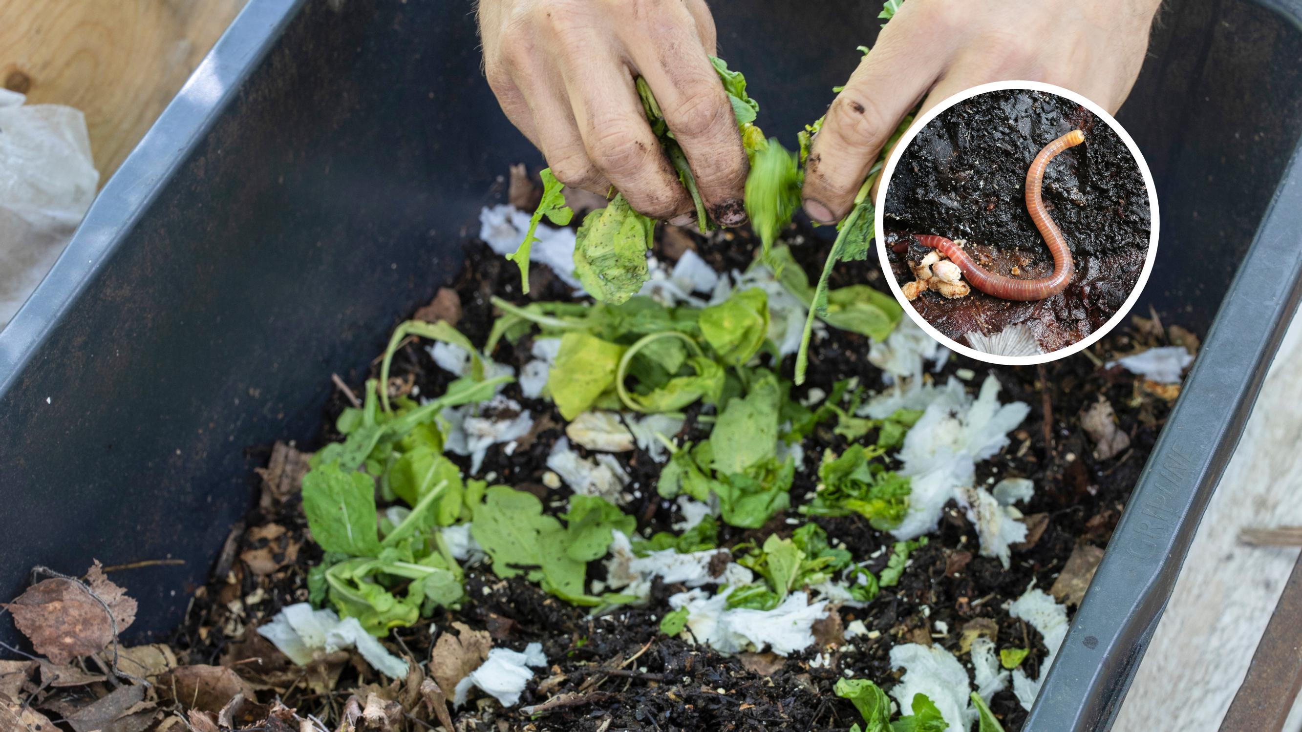 Use a worm compost to turn waste into soil, even in an apartment—Get our tips for vermicomposting!