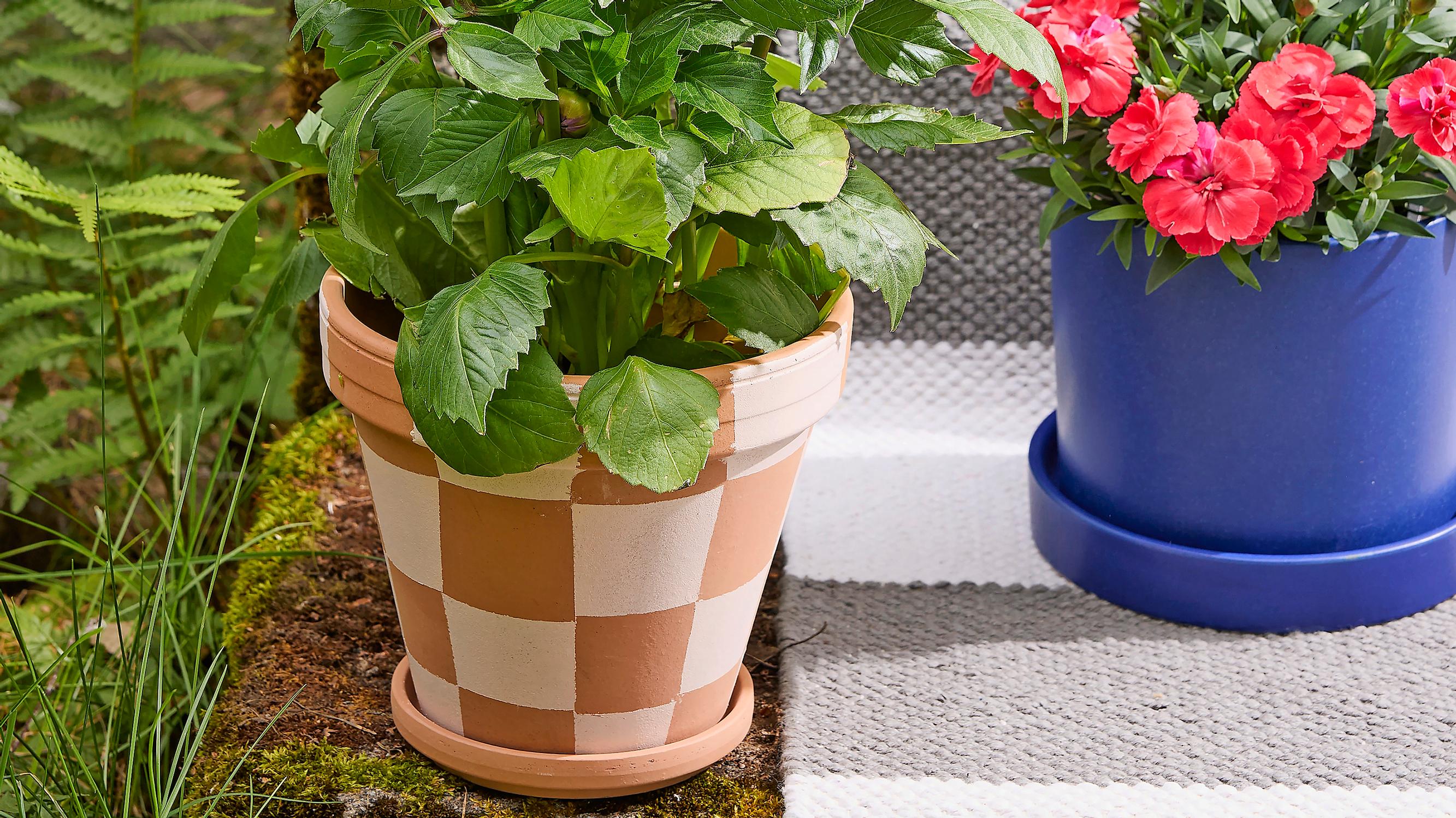Clay pot painting: have fun with a playful checkered pattern