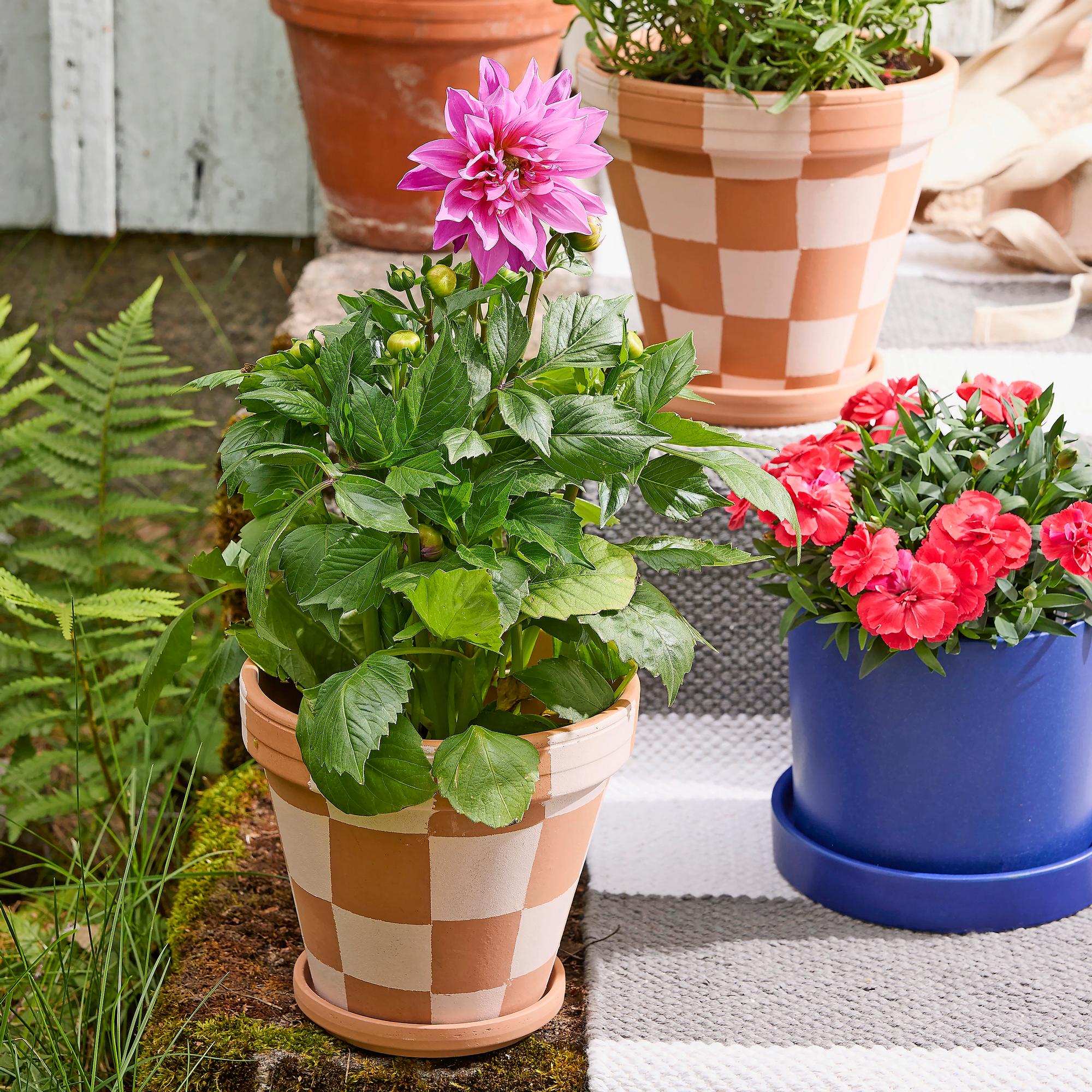 Clay pot painting: have fun with a playful checkered pattern
