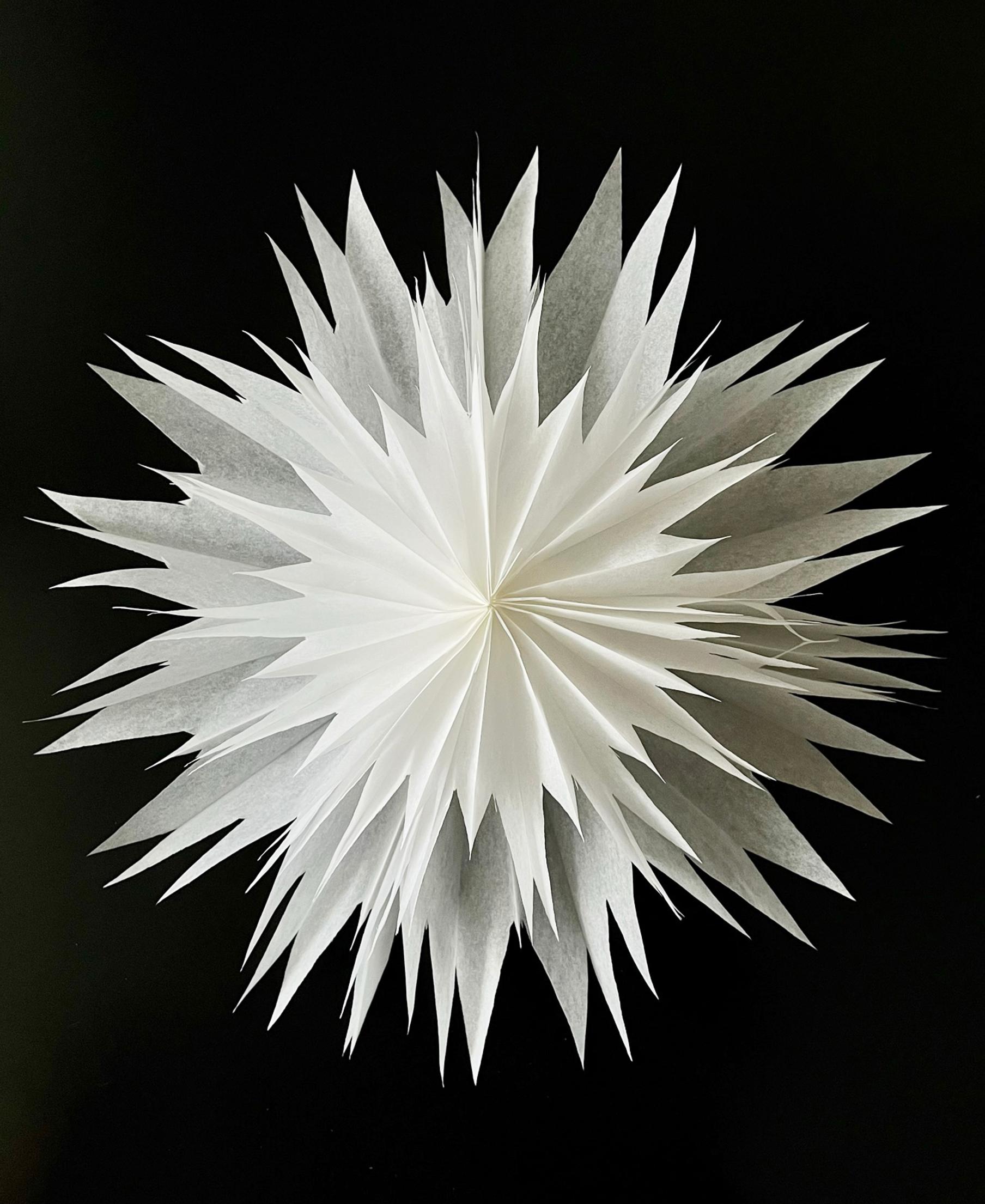 Cheater’s layered star, all done