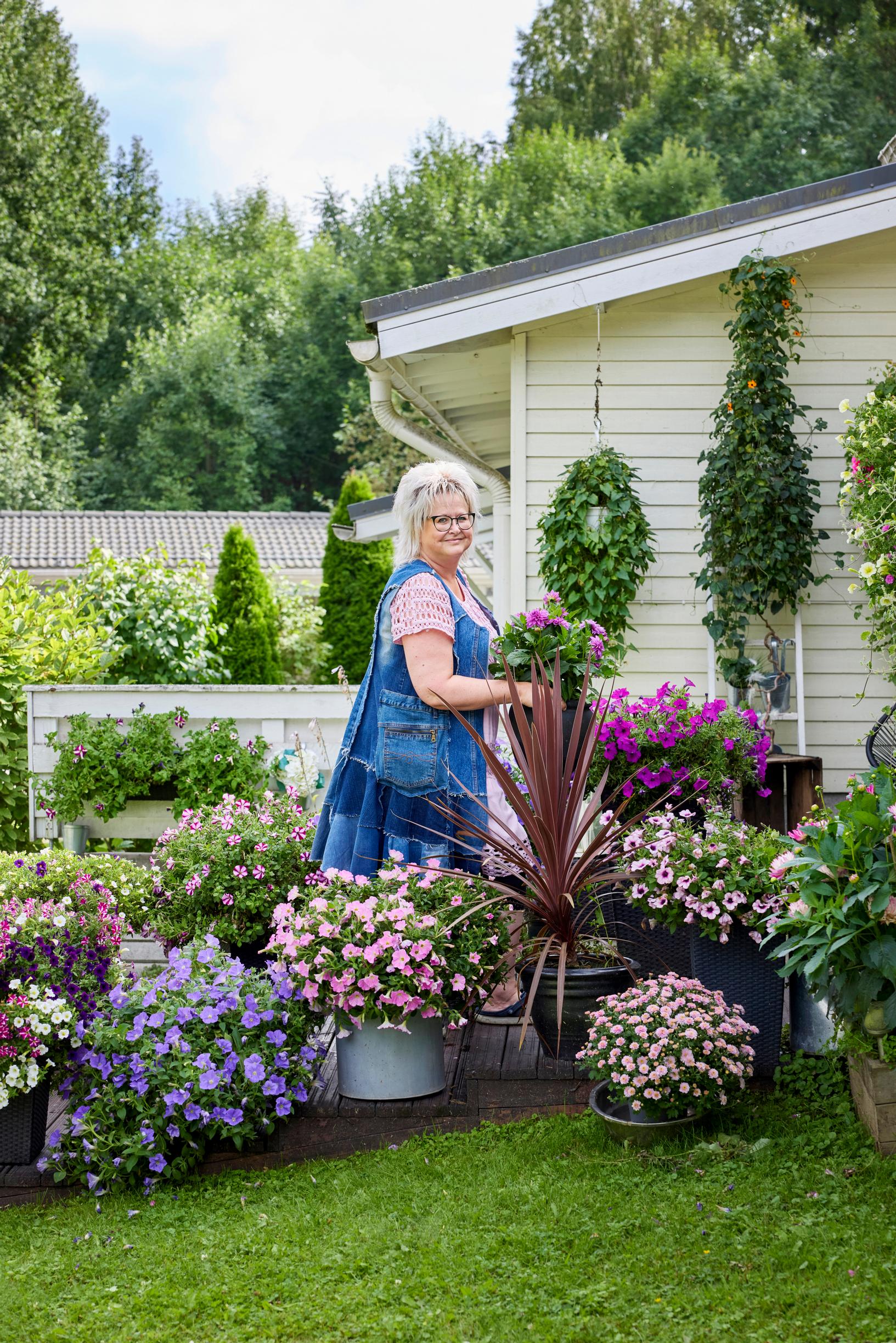 summer-flower hanging baskets: entrance
