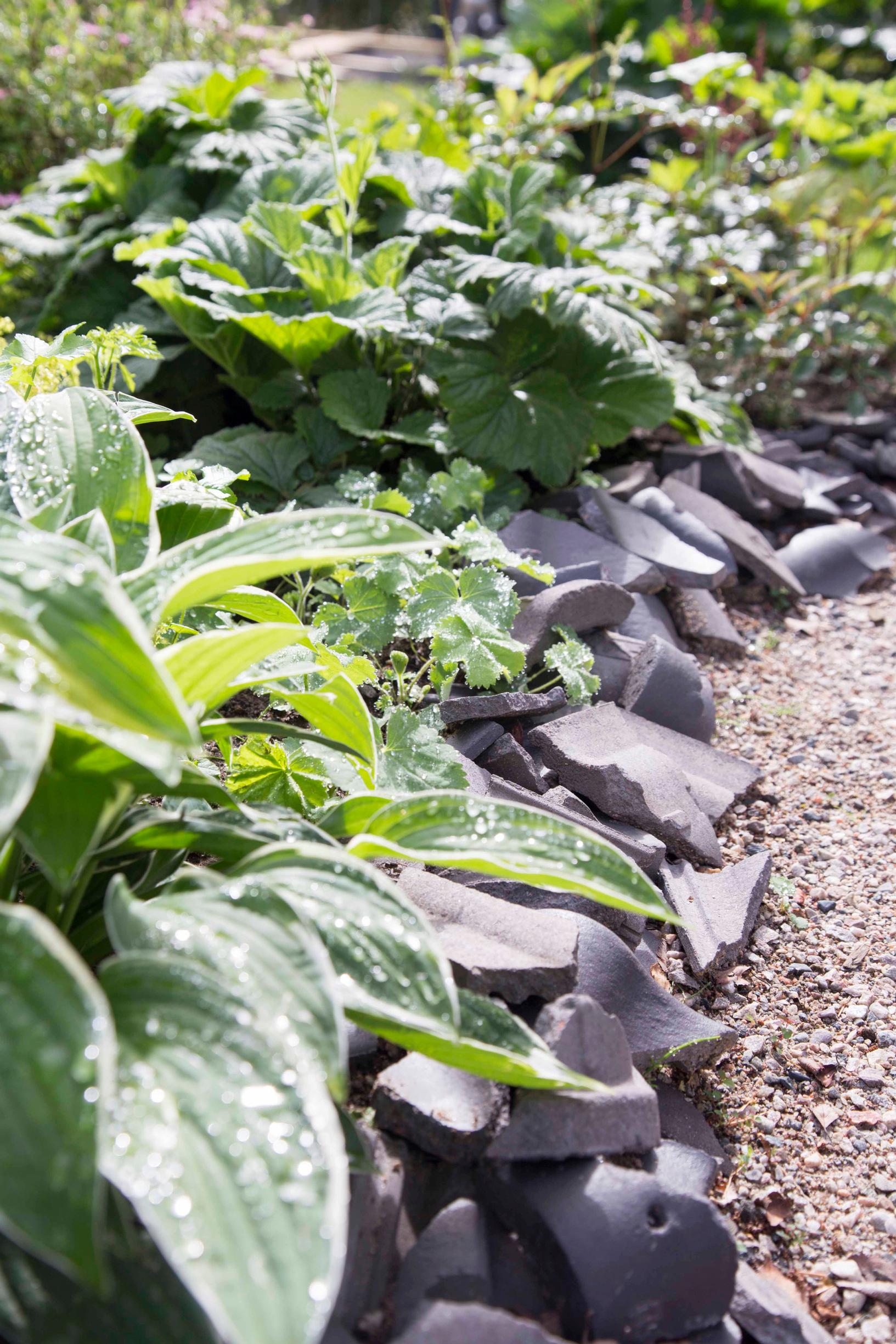 Flower bed edging: roof tiles