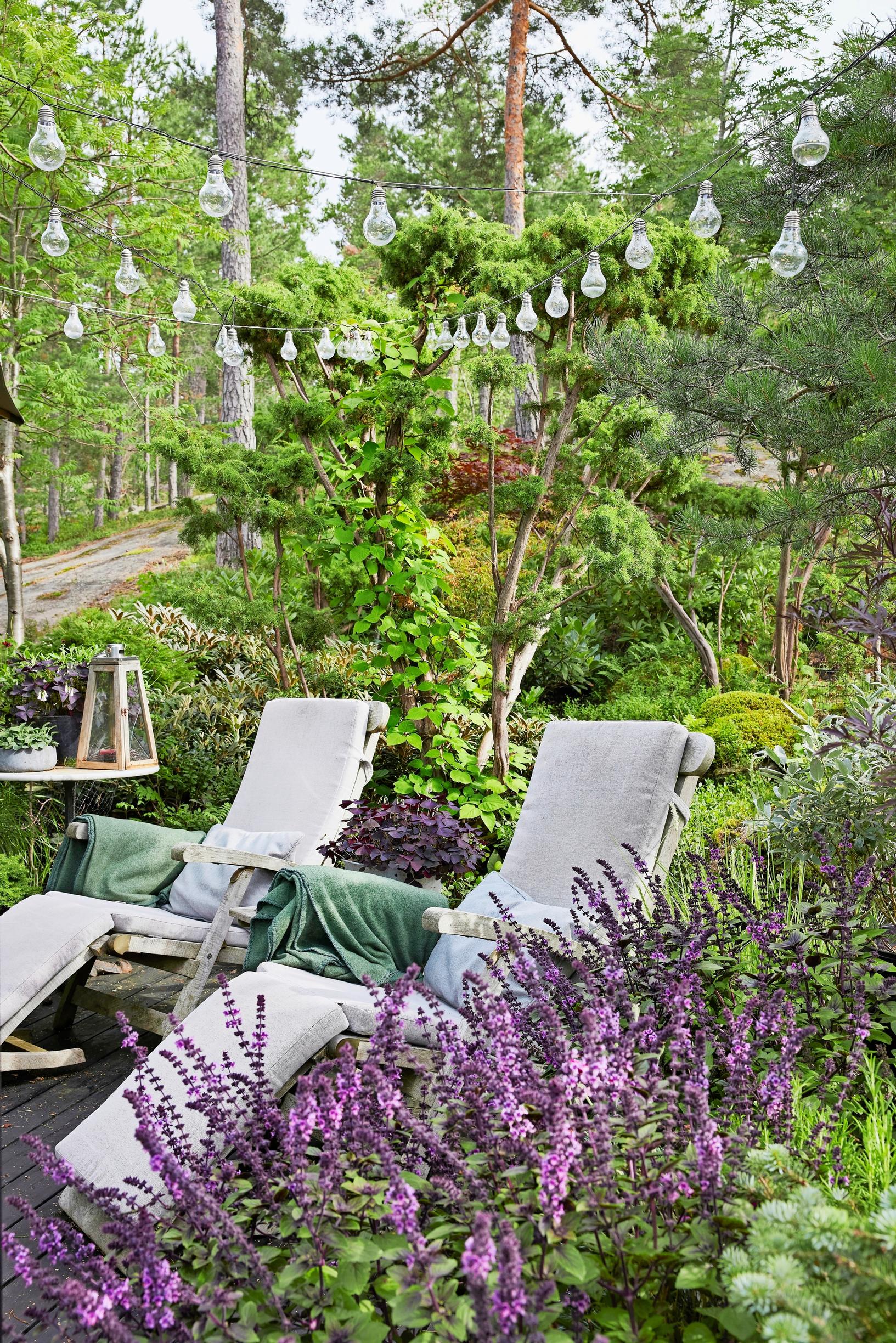 inspiration for summer flower plantings