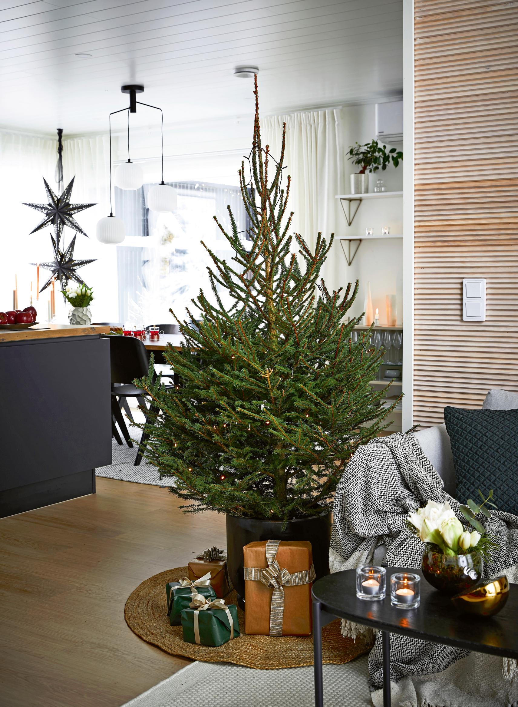 gift packages under the Christmas tree, a view of the living room