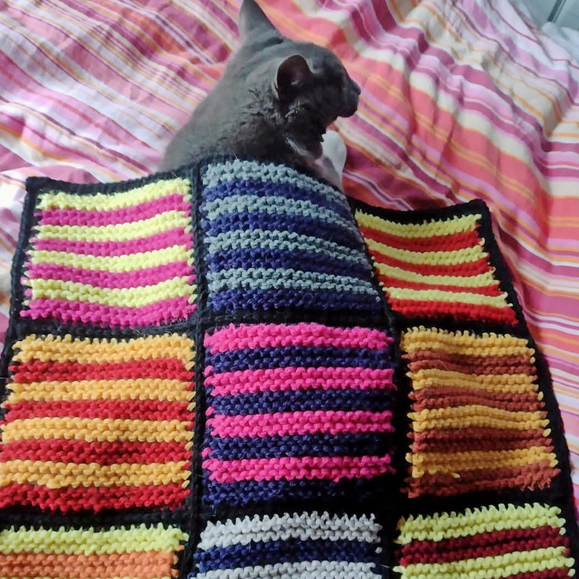Over 100 knitted anesthesia blankets for animal patients! Heartwarming one-person project