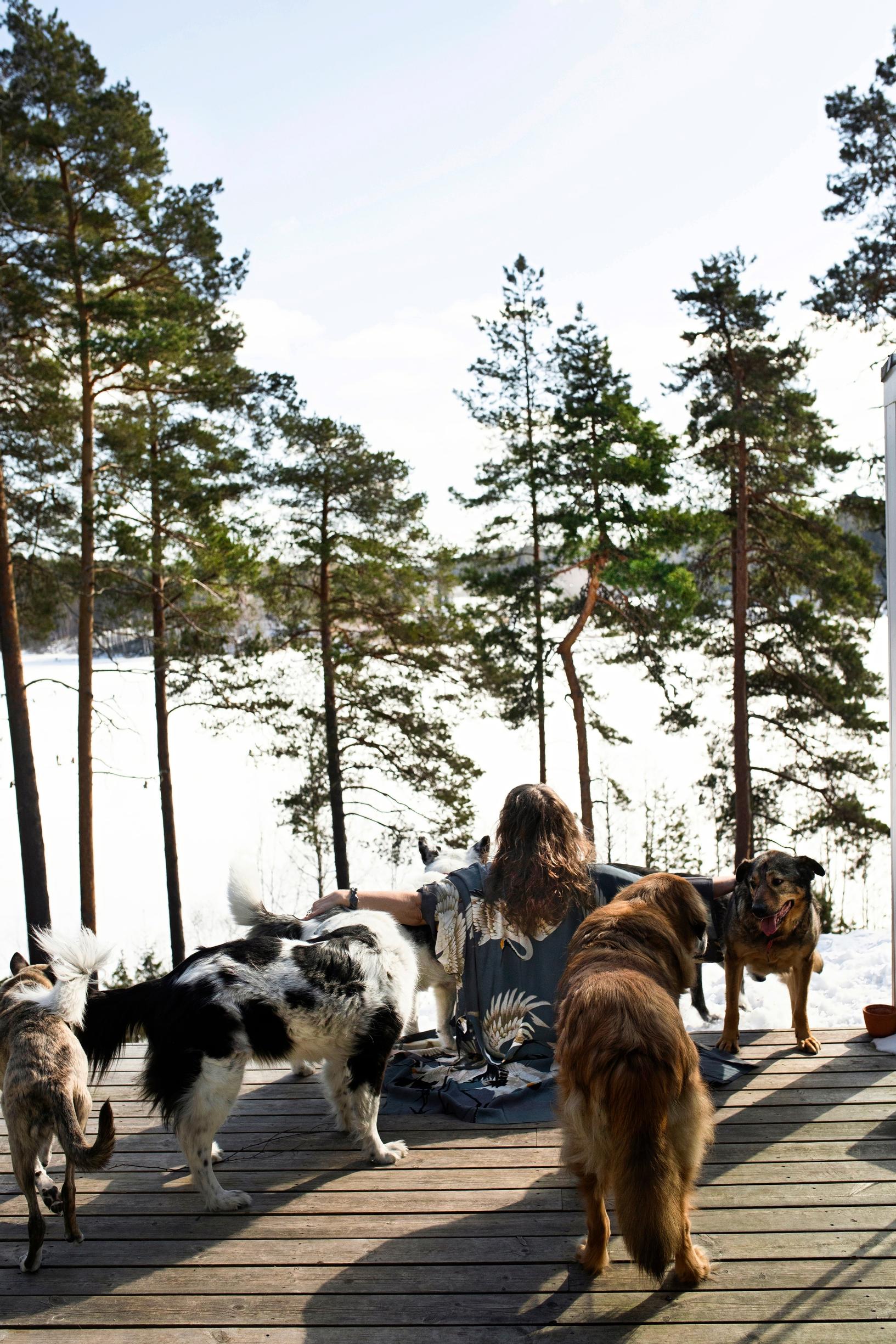 A woman and dogs on a terrace, with pine trees in the background
