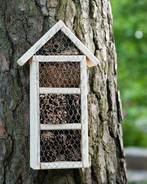 Insect hotel—see instructions | Kotona Living