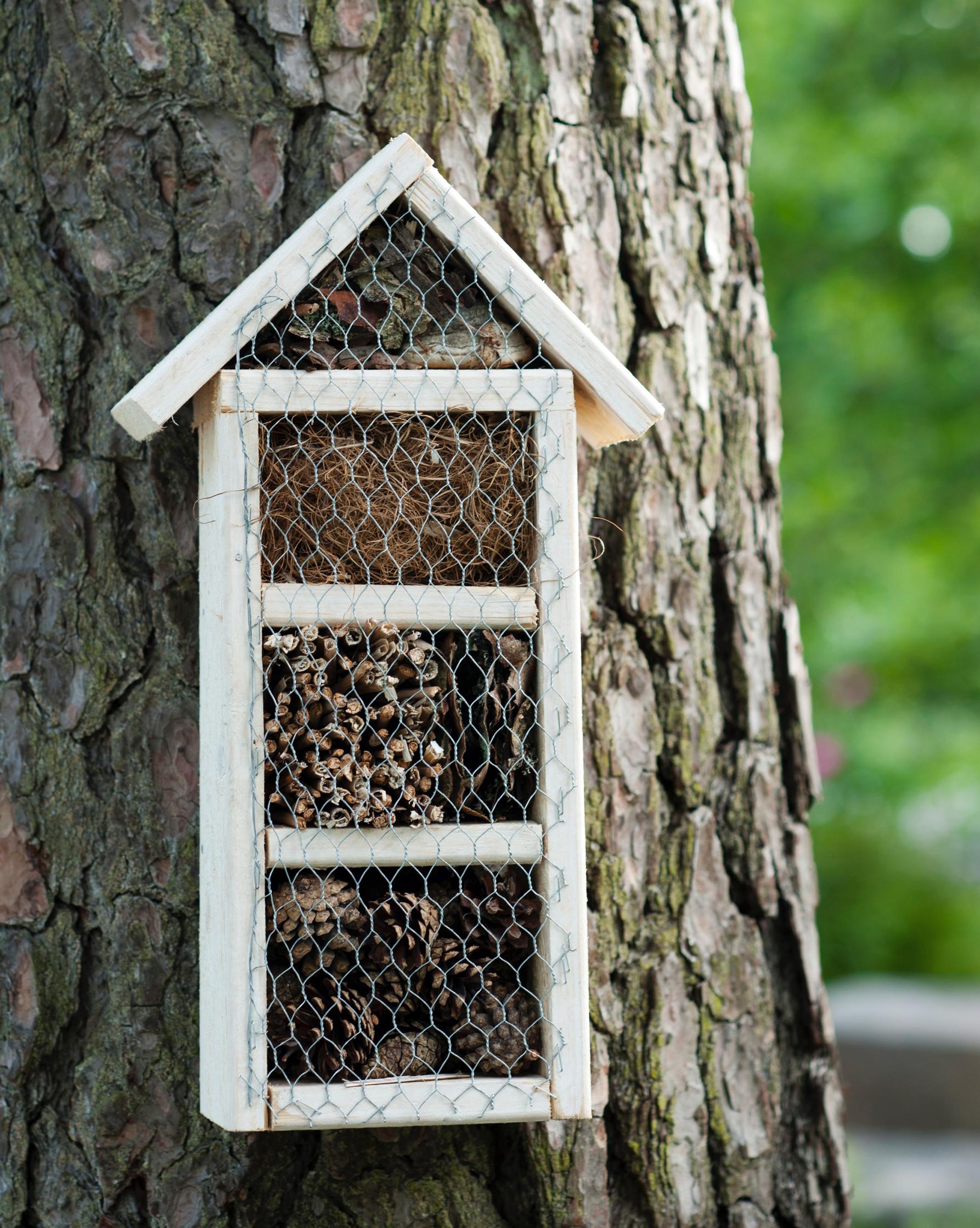 Build a buzzing home for insects in your own garden—fun and functional!