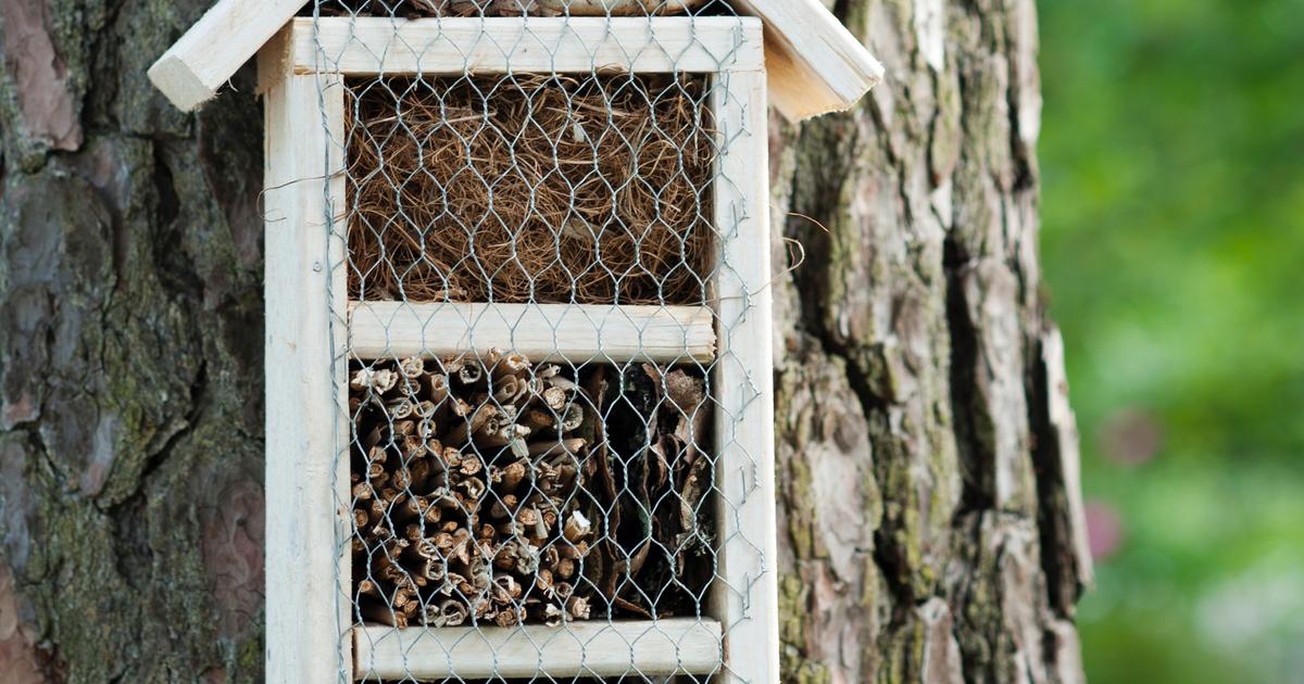 Cottage Insect Insect hotel—see instructions | Kotona Living