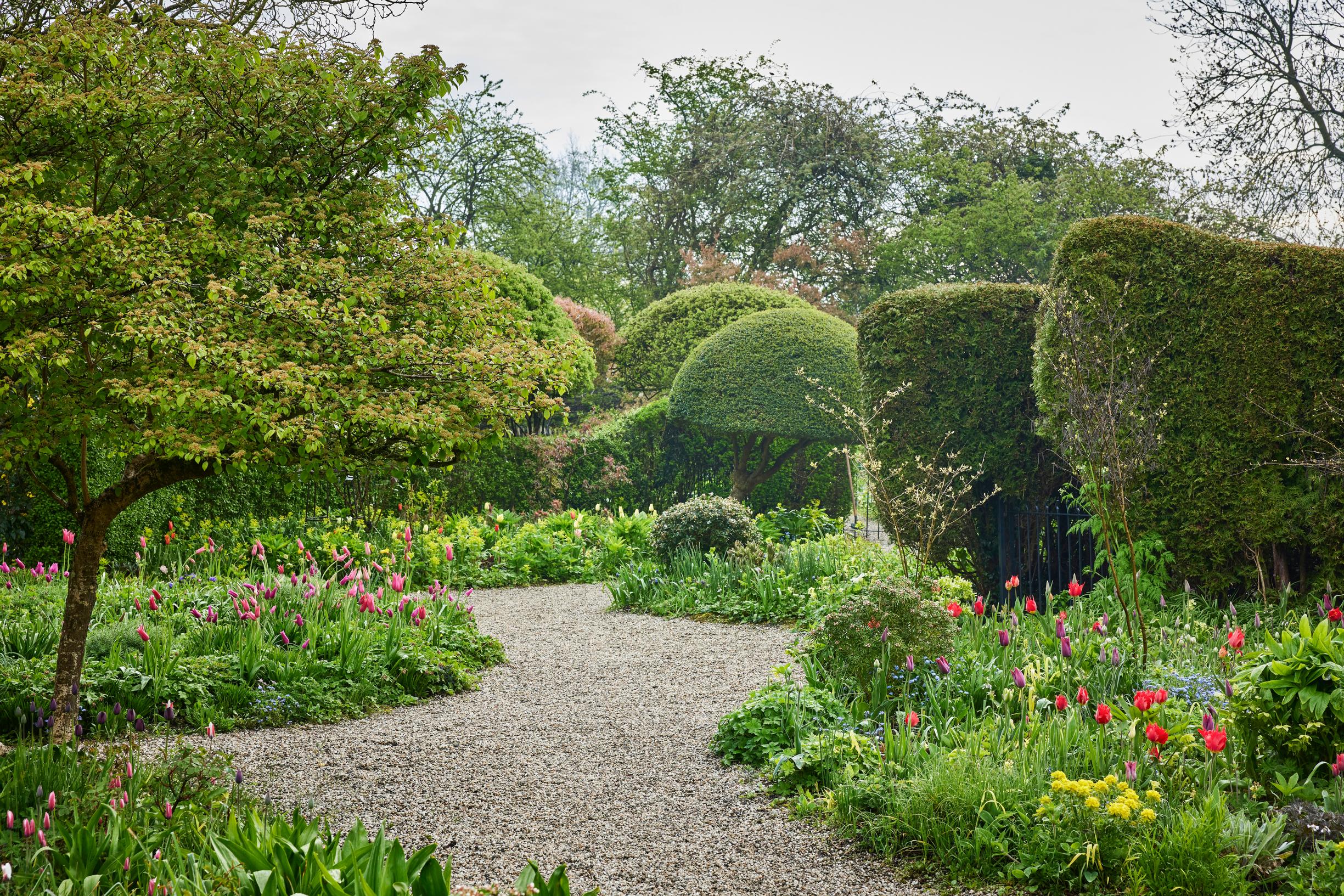 Jacqueline van der Kloet’s garden