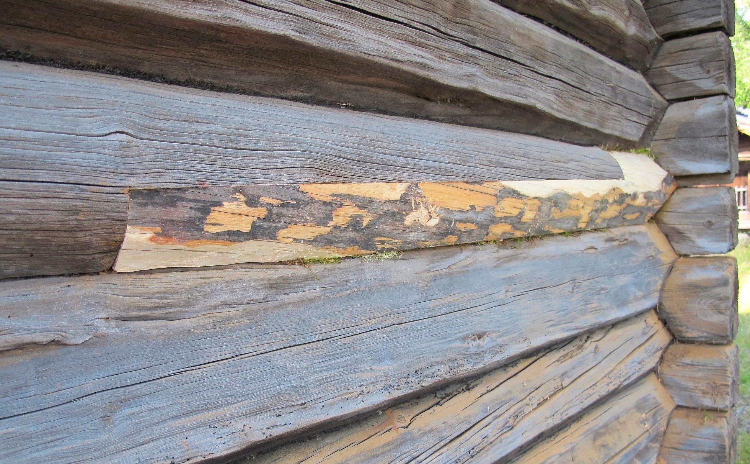 Log patch at Niemelä’s croft
